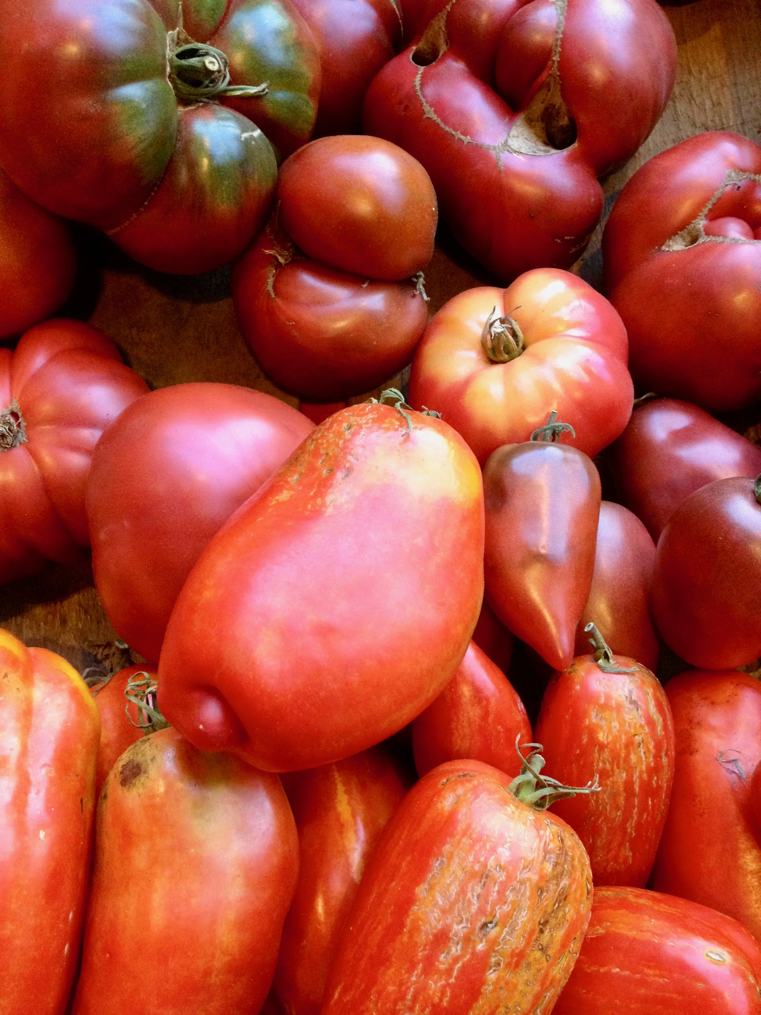 Heirloom Tomatoes
