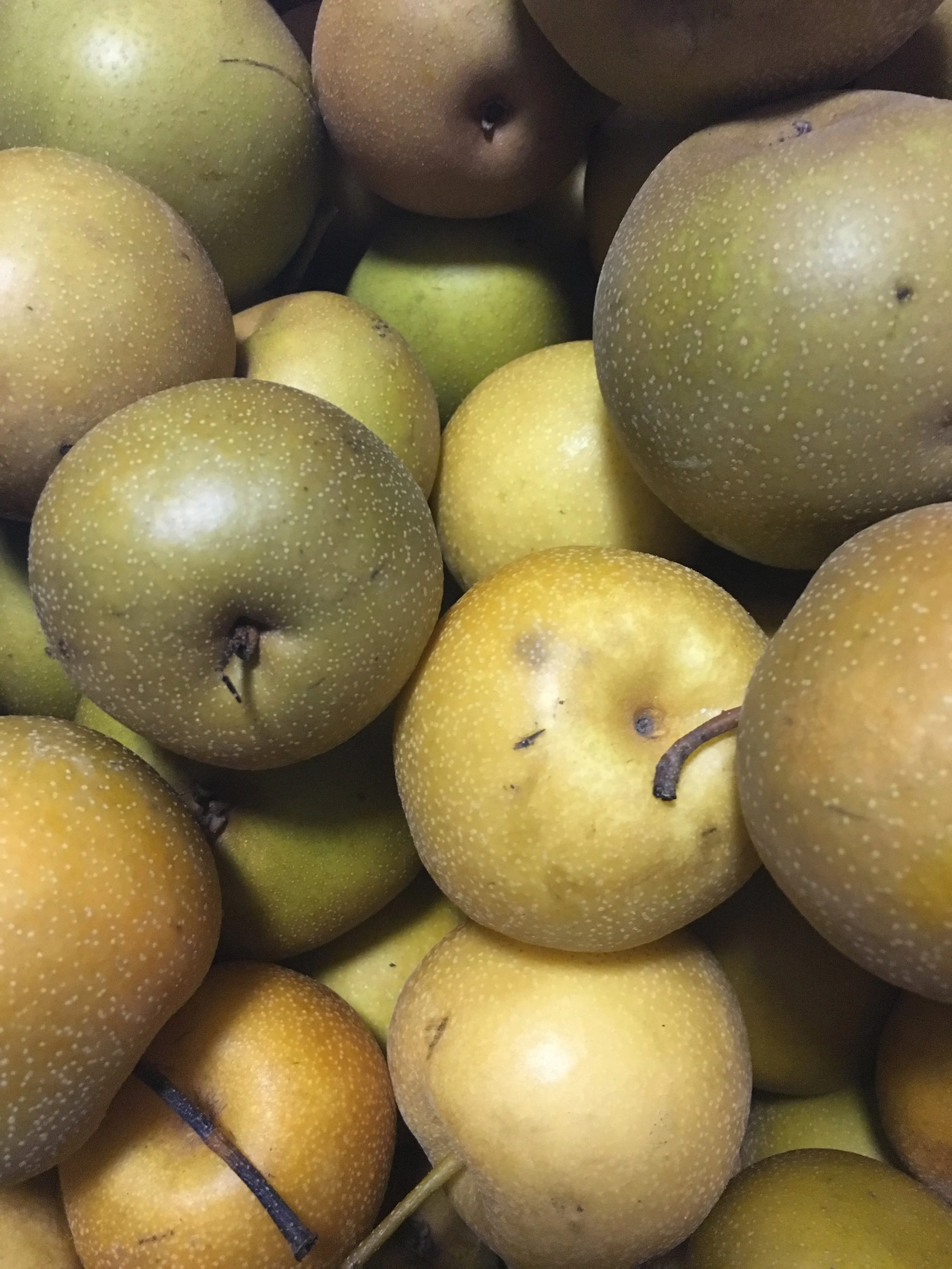 'Wild' Local Apples