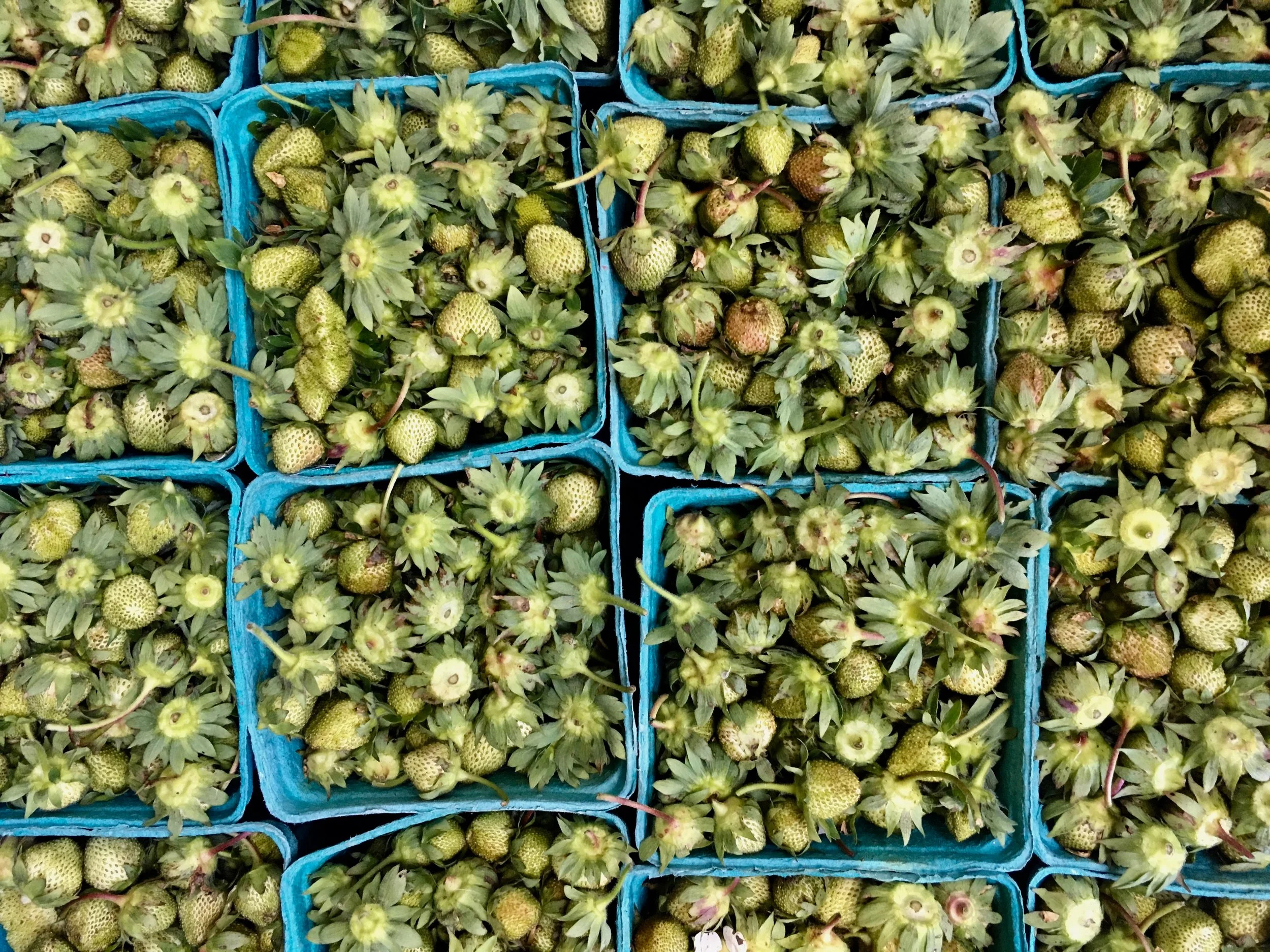 Broadturn Farm Green Strawberries