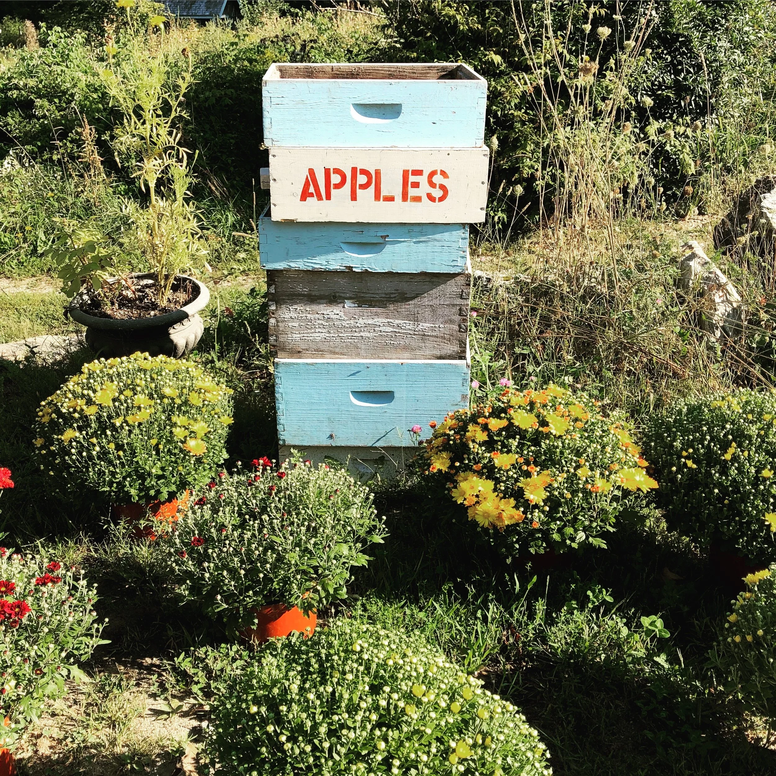 Fall at Wealden Farm