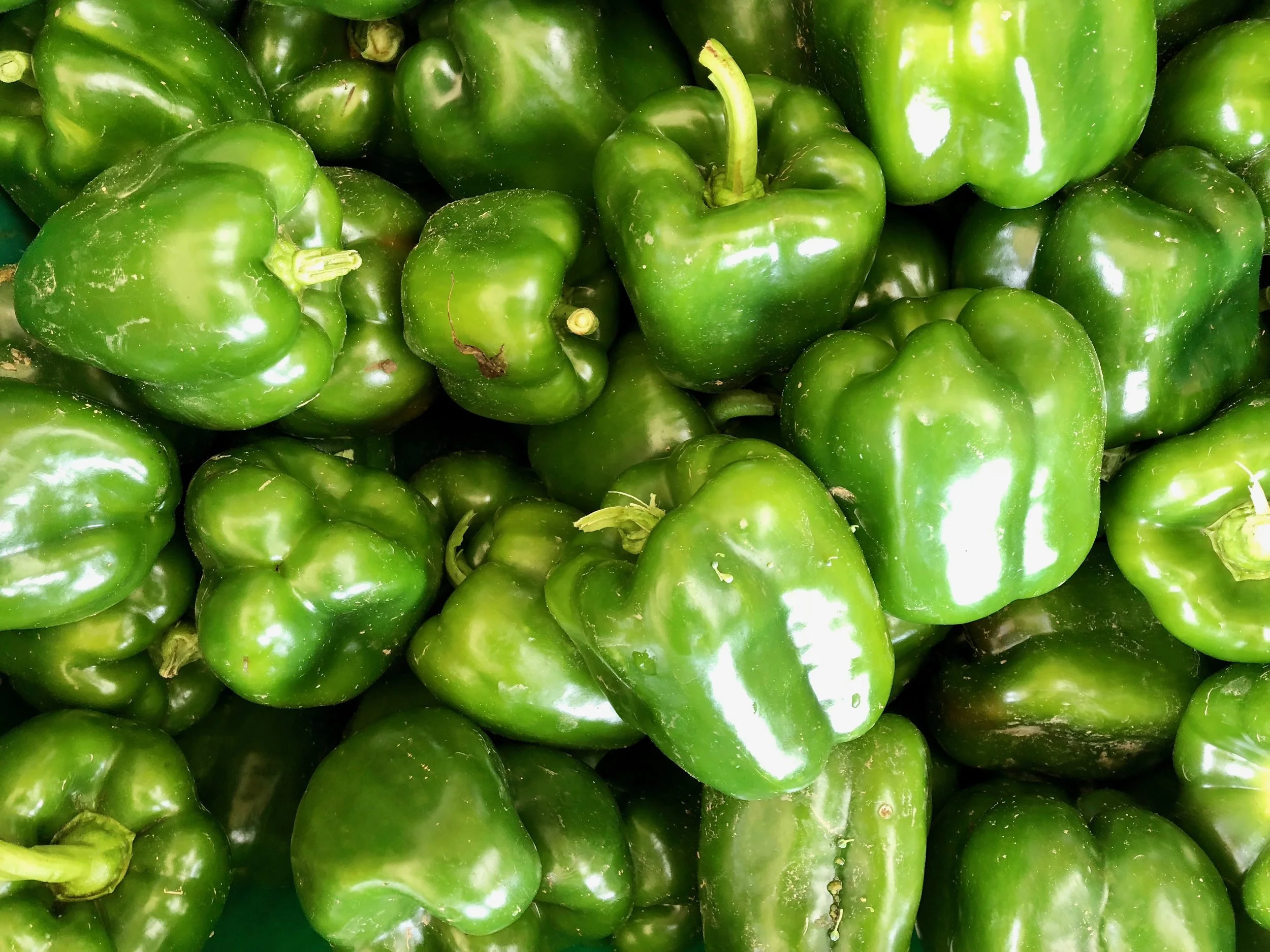 Green Peppers from Jordan's Farm