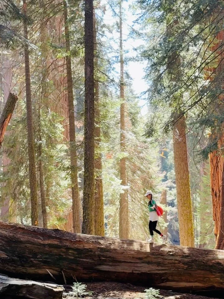 The tiny fairies slip between roots and shadows of giant trees, dancing and singing along their hidden paths. They appear only when they feel like it, carrying the pure joy of being found. And honestly, so do we.

Huge thanks to wise Antonio for reve