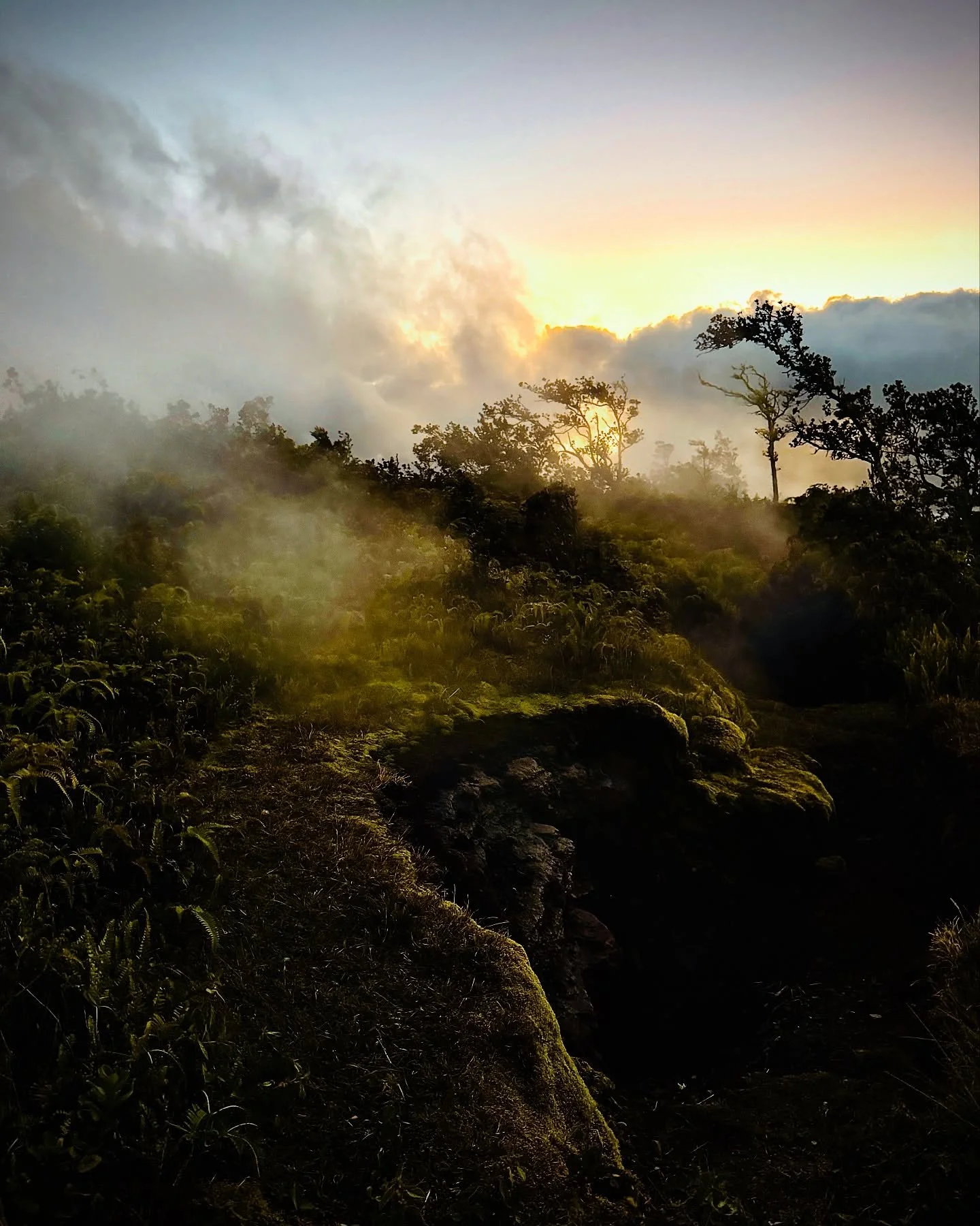 The earth beneath us hums with an energy older than time itself. Here, we just are. Let go and be. May we never forget how much magic surrounds us. May we always return to ourselves and each other, no matter how far we roam.