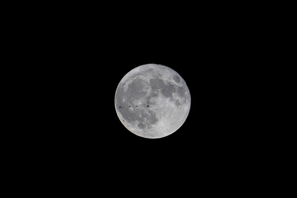_DSC4465 - Copy.JPG