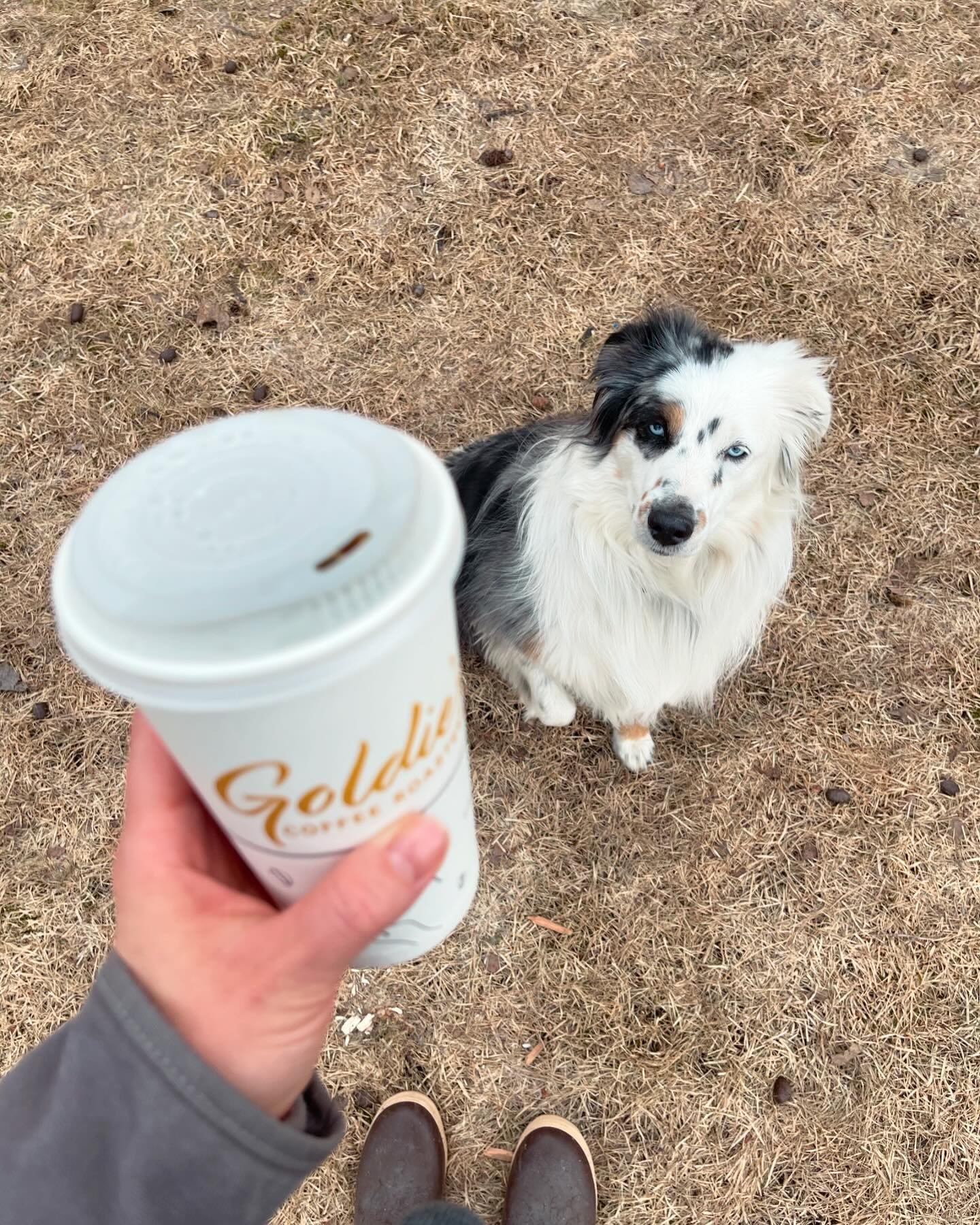 Happy weekend! 🐶😀 It finally feels like spring. Grab a coffee and get outside! #goldiescoffeeroasters #alaska #womenwhoroast #specialtycoffee #dogwalking #fuel