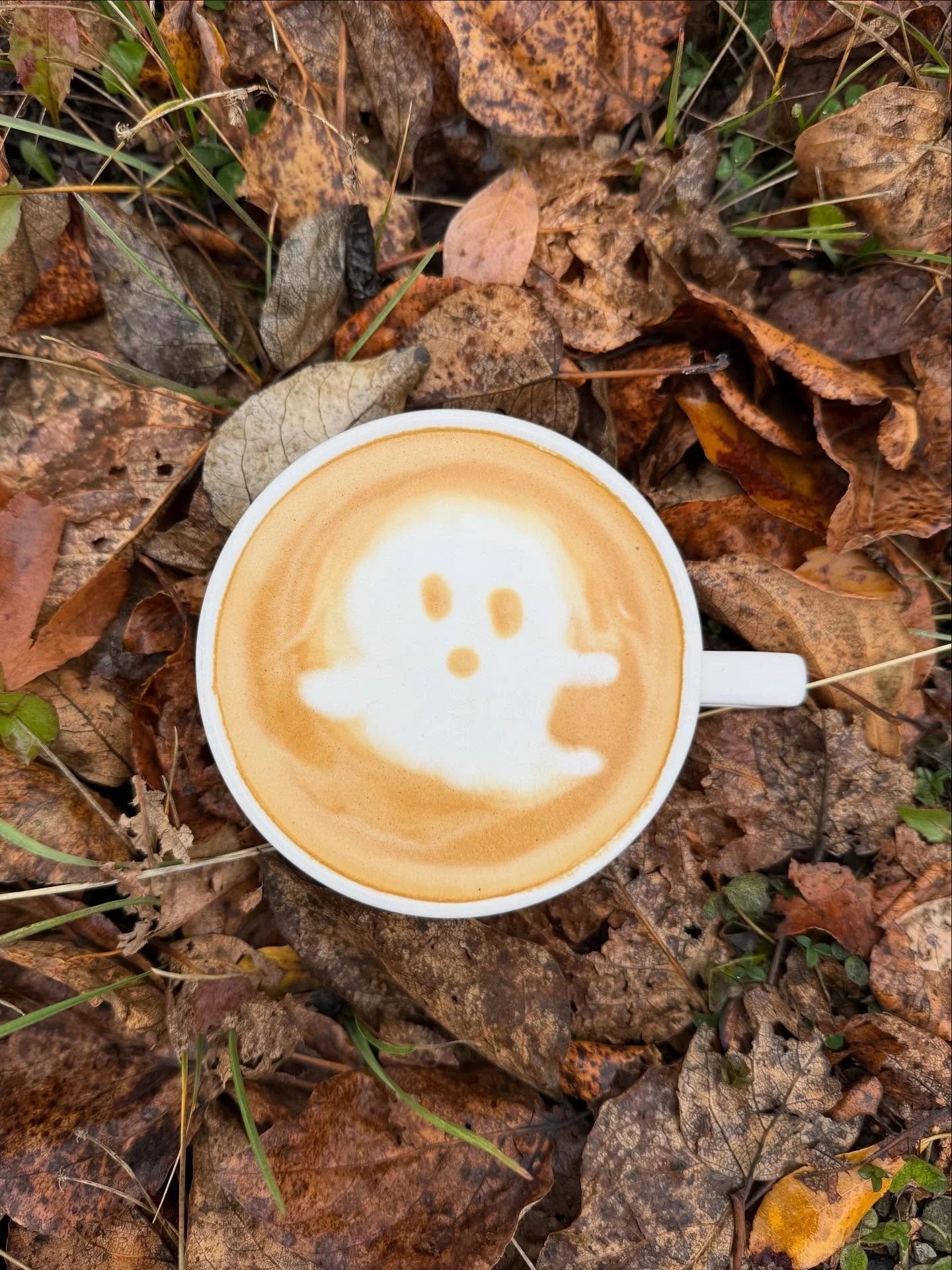 Feelin&rsquo; festive as the Friday approaches&hellip; 👻🍂 #weekendready #october #lattelove #specialtycoffeeroaster #goldiescoffeeroasters #alaska