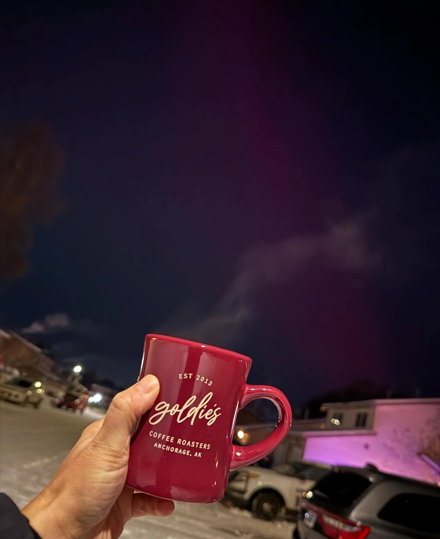 Go outside Alaska! 🌌 #nothernlights #alaska #goldiescoffeeroasters