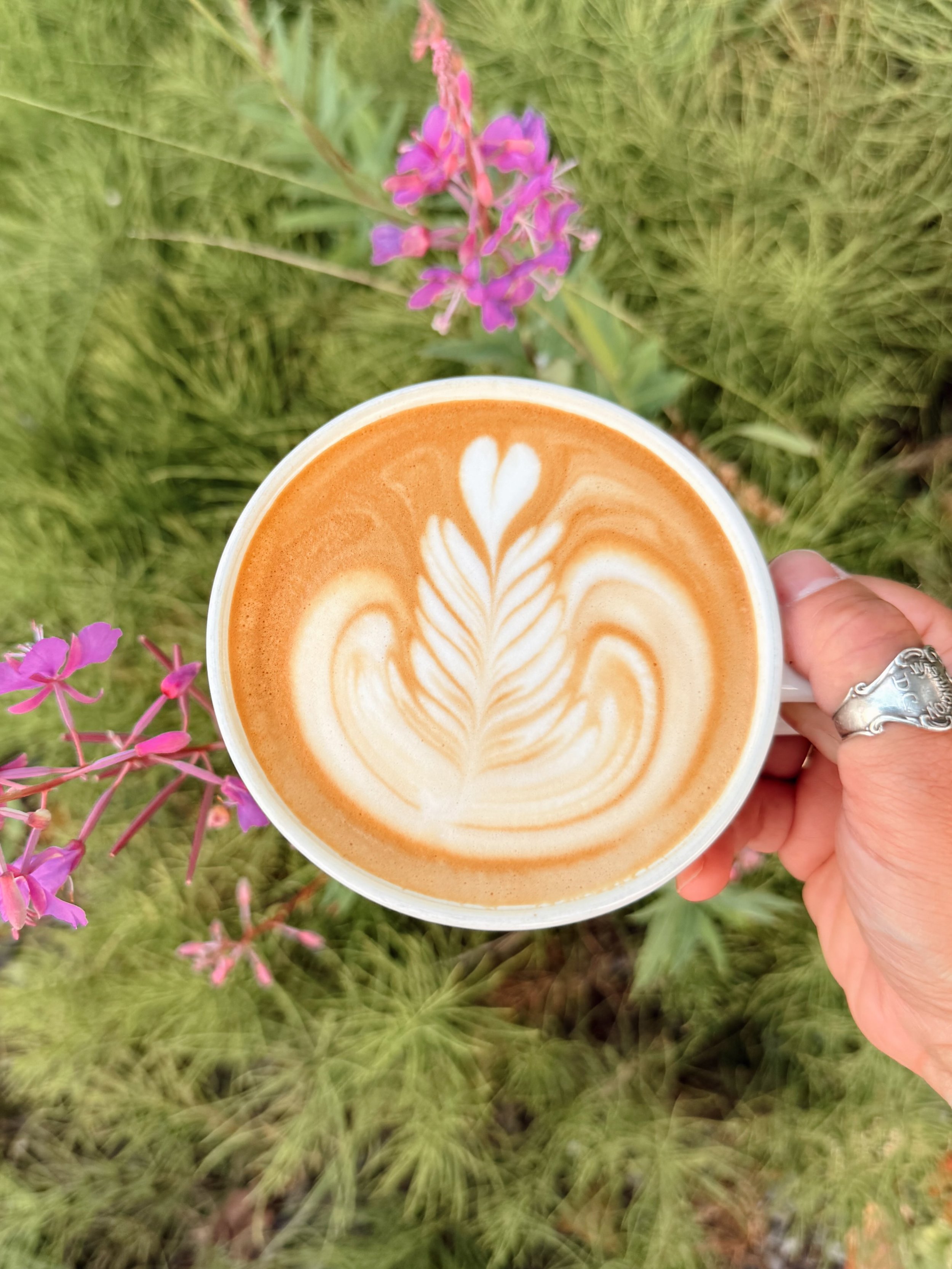 It&rsquo;s a beautiful morning for a fireweed latte! 🌸☕️🌸 #alaska #summer #specialtycoffeeroasters #goldiescoffeeroasters #womenwhoroast