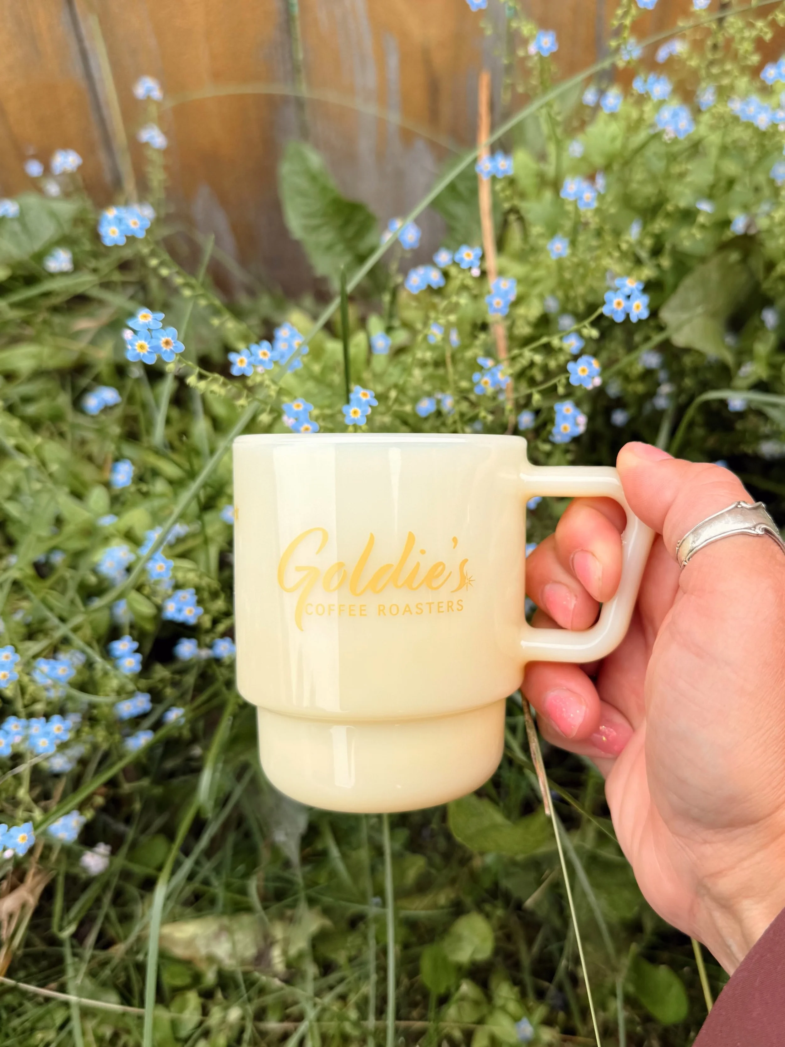 New milk glass mugs available now! 🫶 #goldiescoffeeroasters #alaska #specialtycoffeeroaster #womenwhoroast