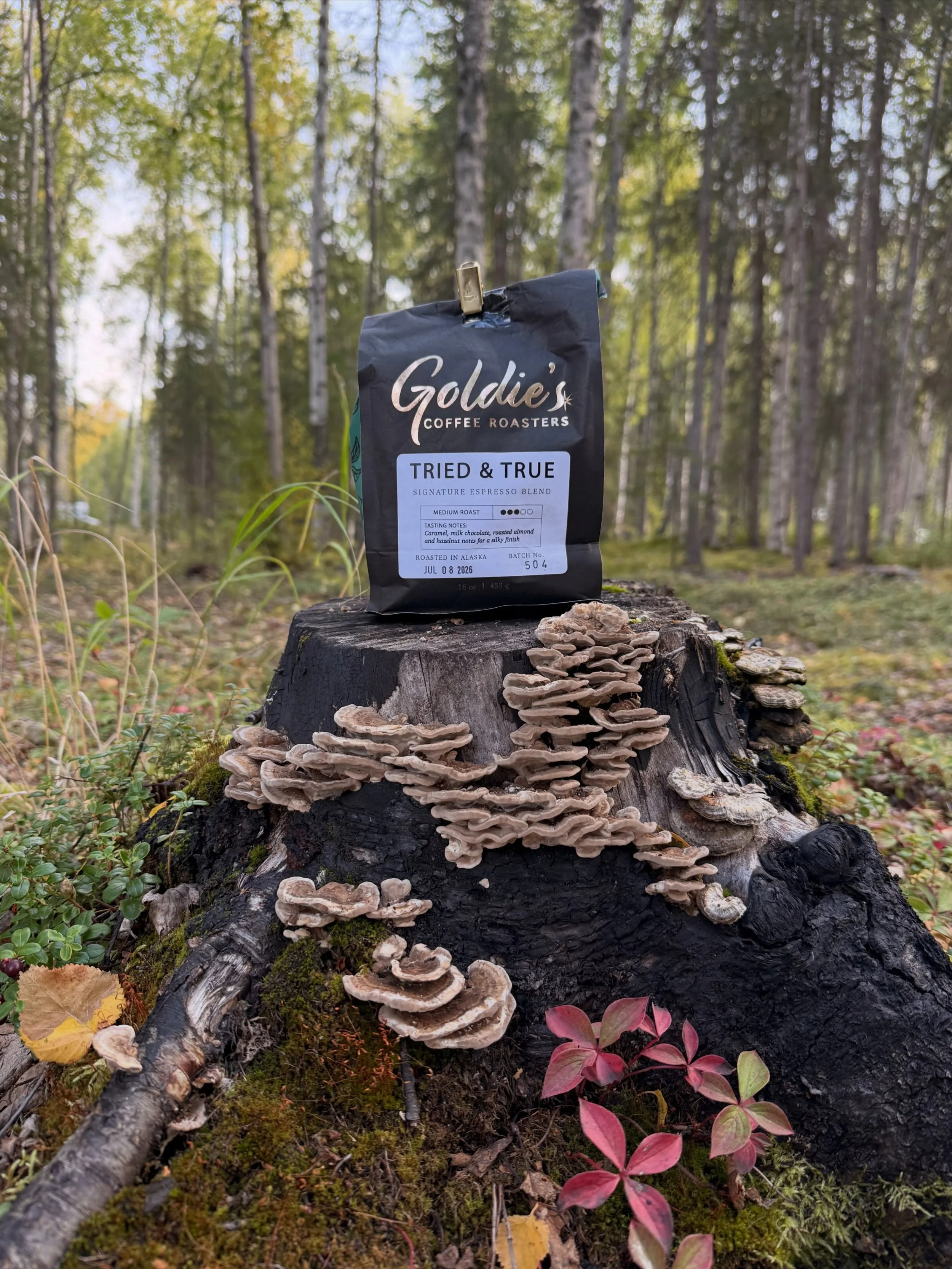 Weekend ready. 🍂🍁 #triedandtrue #alaska #goldiescoffeeroasters #womenwhoroast