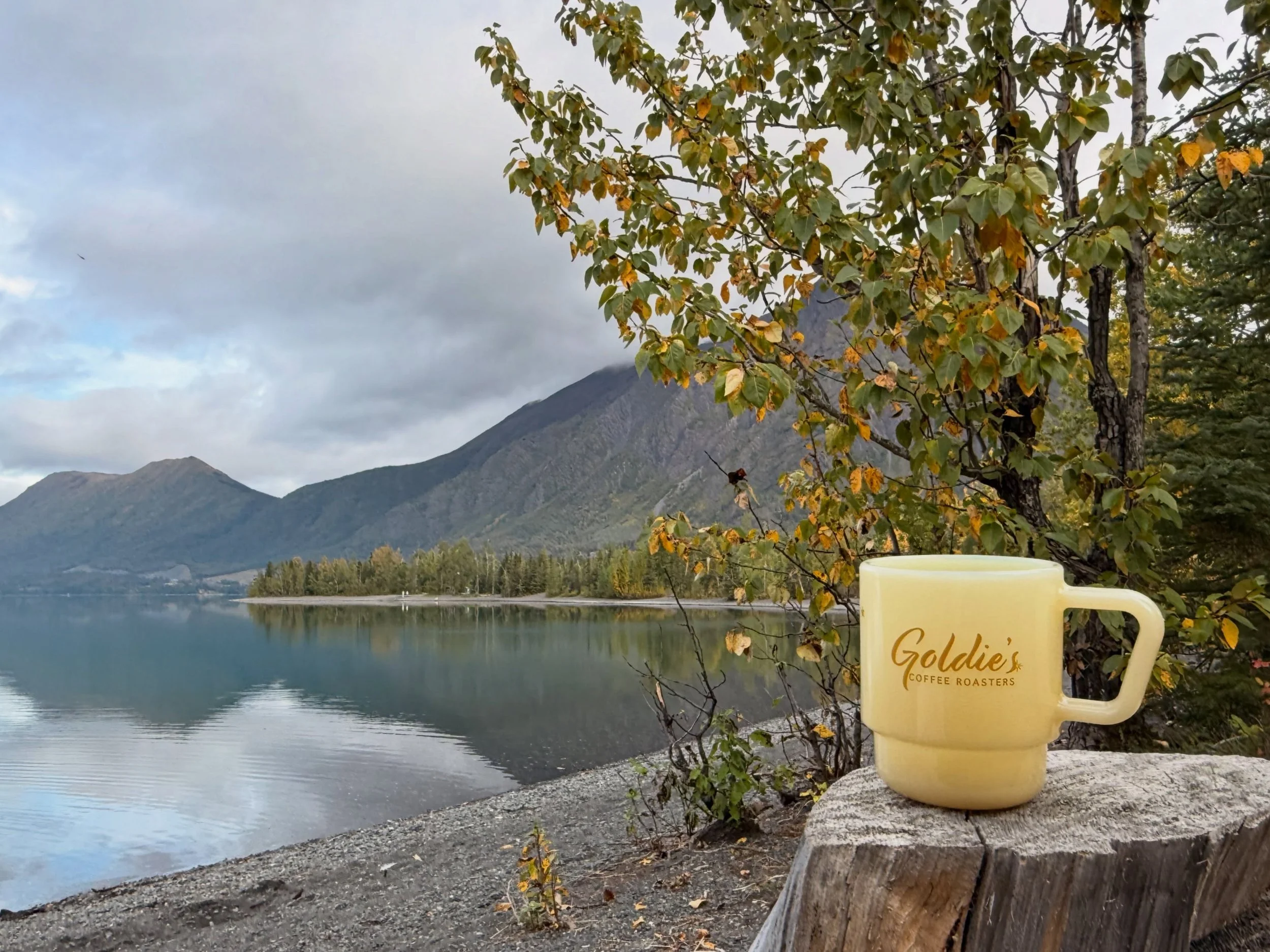 Welcoming autumn with fresh coffee and crisp mornings. 🍂🍁🤗 #alaska #goldiescoffeeroasters #specialtycoffeeshop #september #womenwhoroast