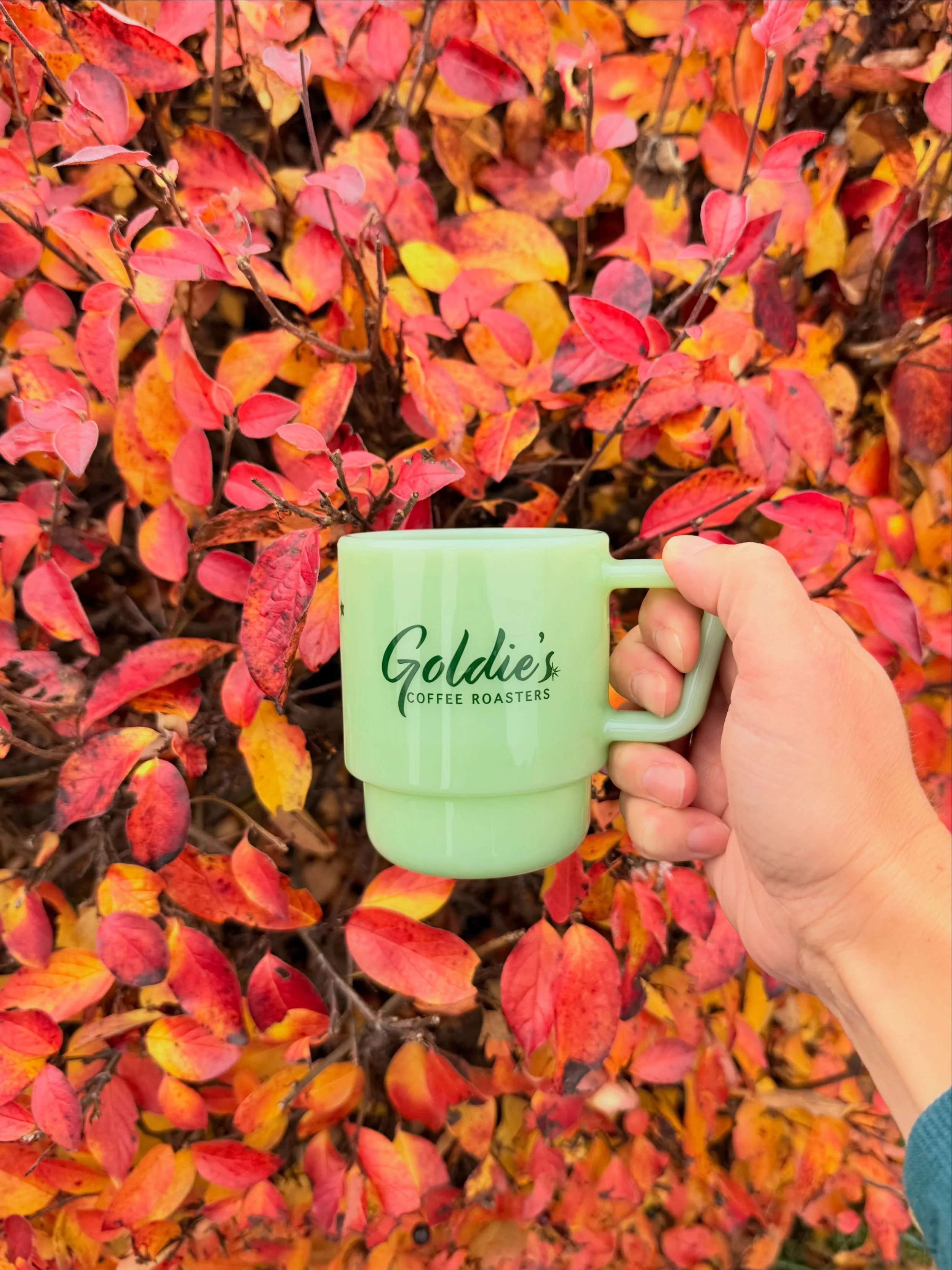 Falling into the season with crisp air, hot coffee and cute mugs. 🍁🍂☕️ #muglife #goldiescoffeeroasters #womenwhoroast #specilatycoffee #alaska