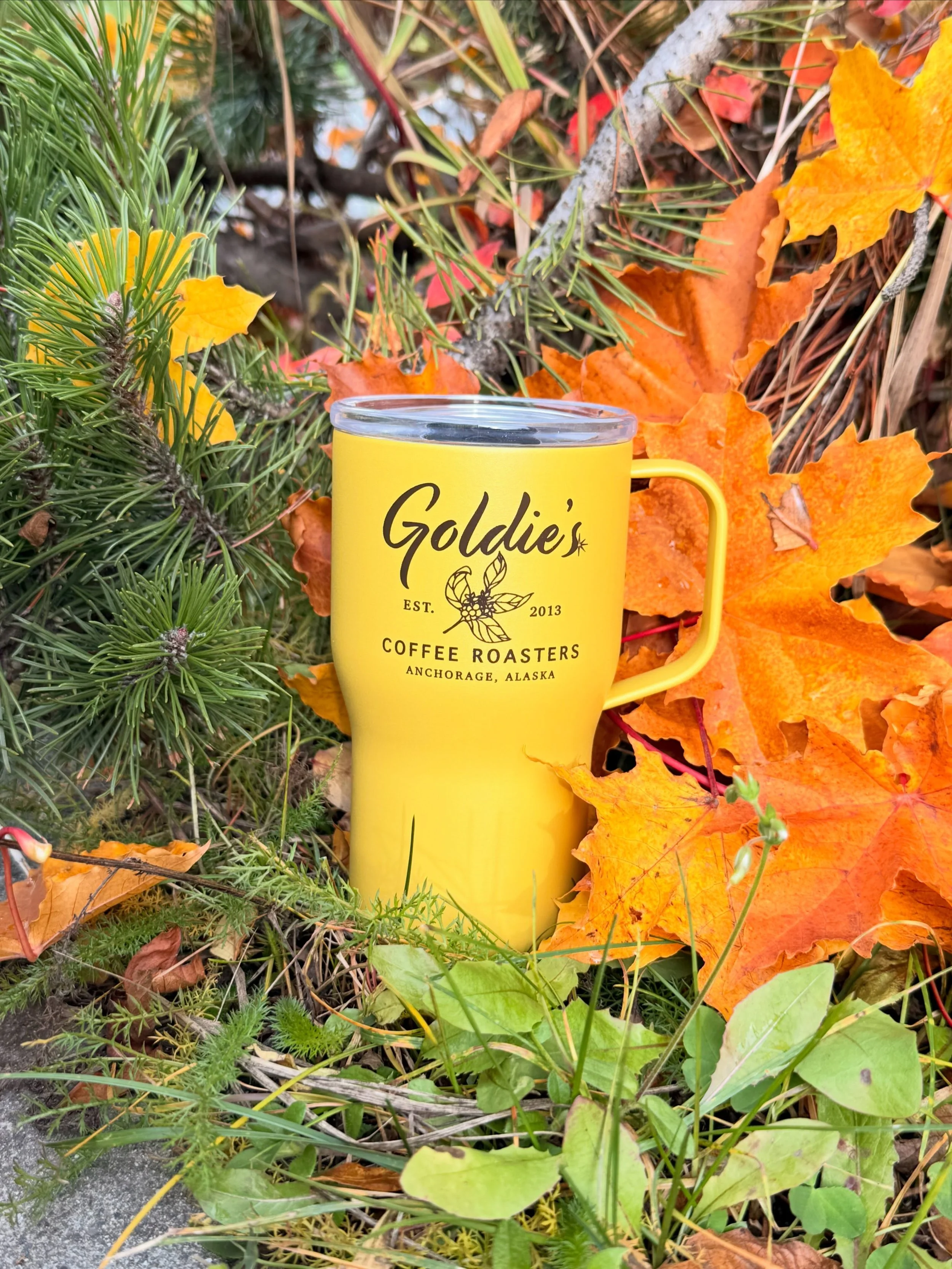 Our new 16 oz travel mugs have arrived! 🍂💛 #goldiescoffeeroasters #alaska #specialtycoffee #womenwhoroast #keepithot