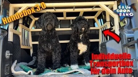 Transportbox für Hunde