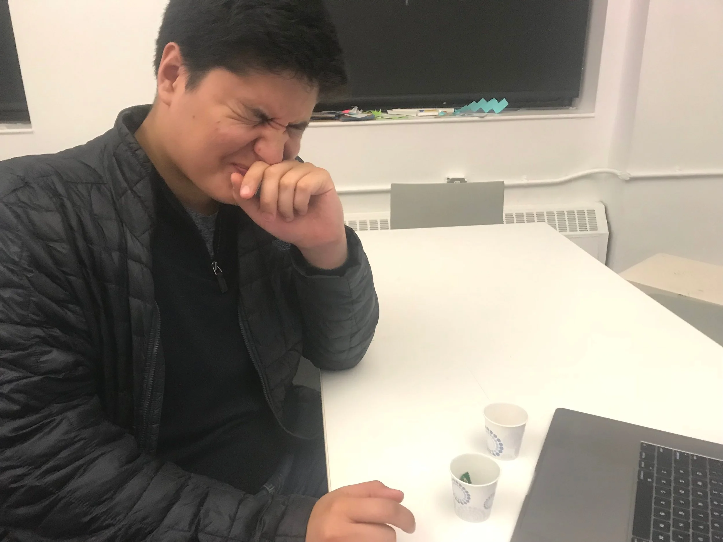 Prototype of an AI system that uses classical conditioning to train users to make better decisions through taste.