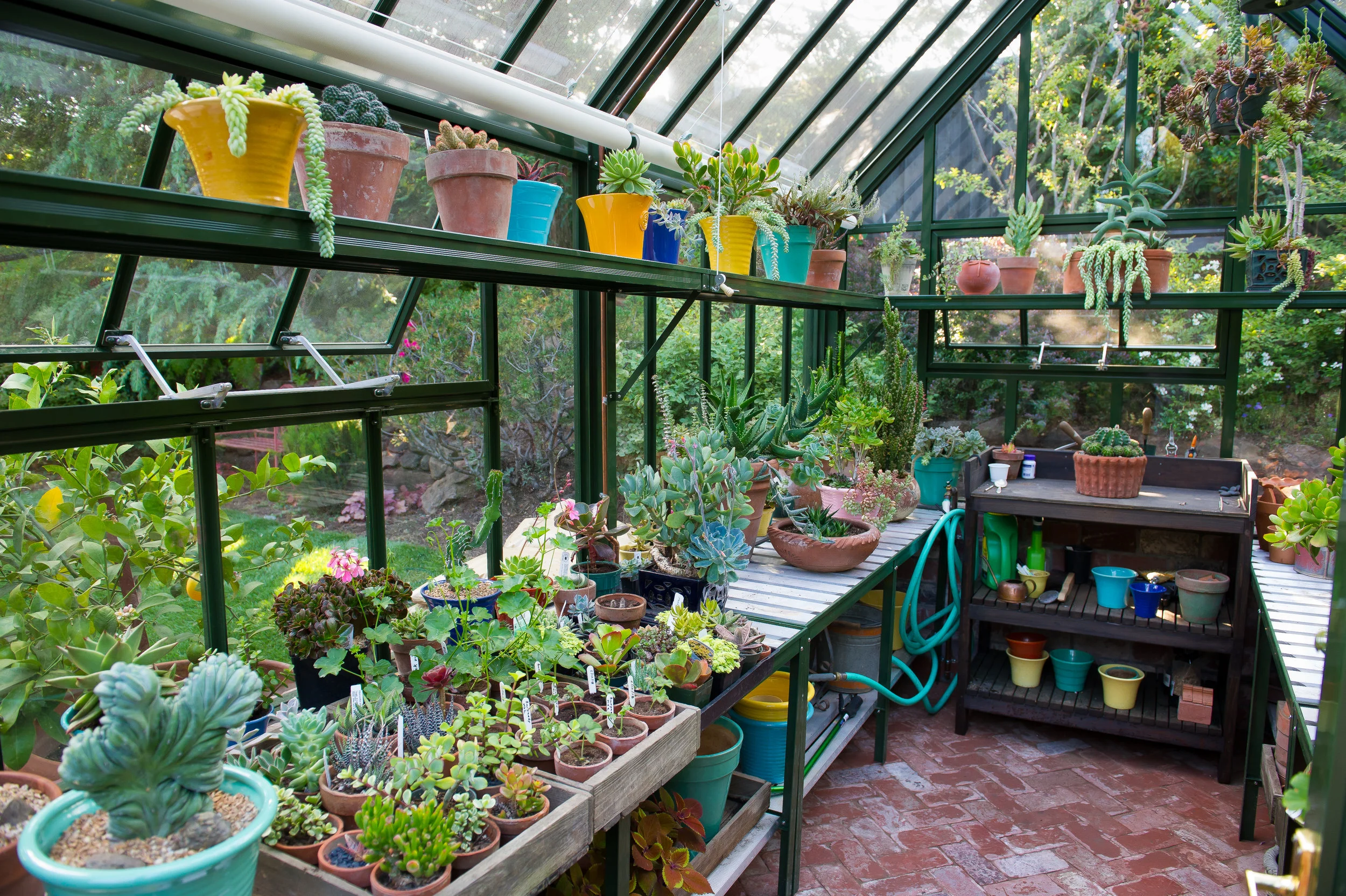 Patio & Hot House-3.jpg