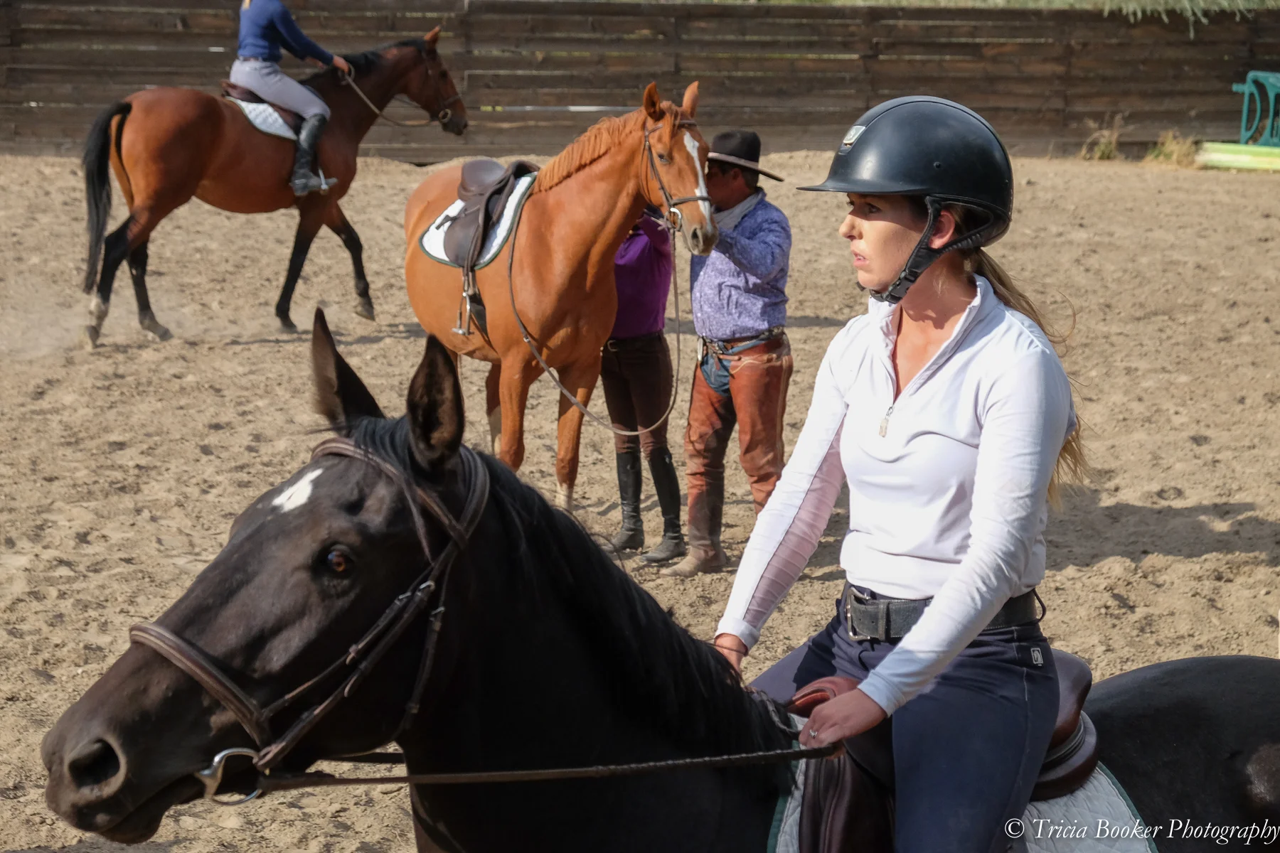 Riding participants working with Jose Alejos and the young horses