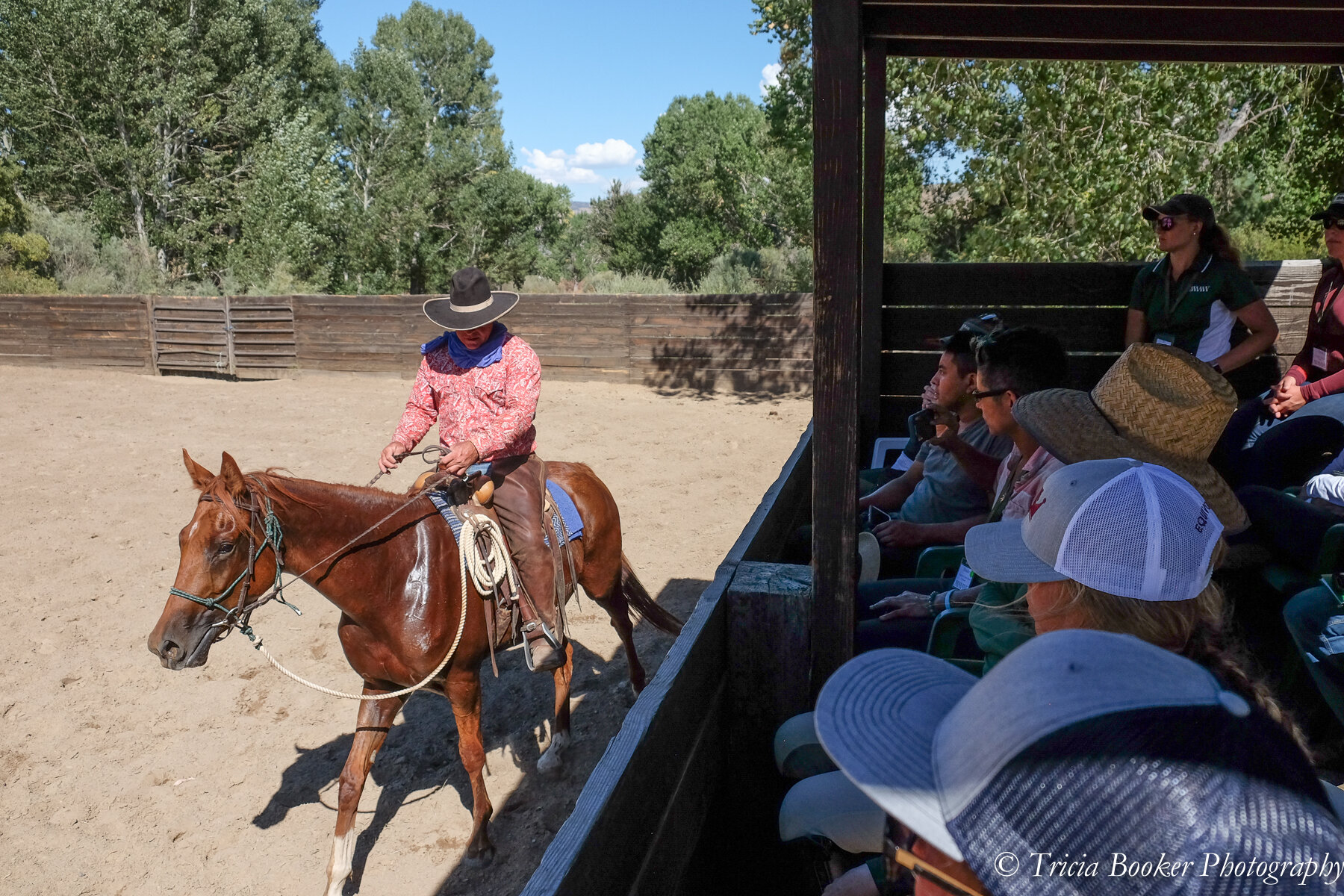 Young Horse Trainer School Deposit