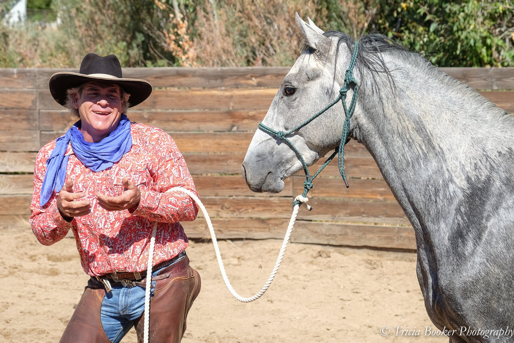Young Horse Trainer School With Horse
