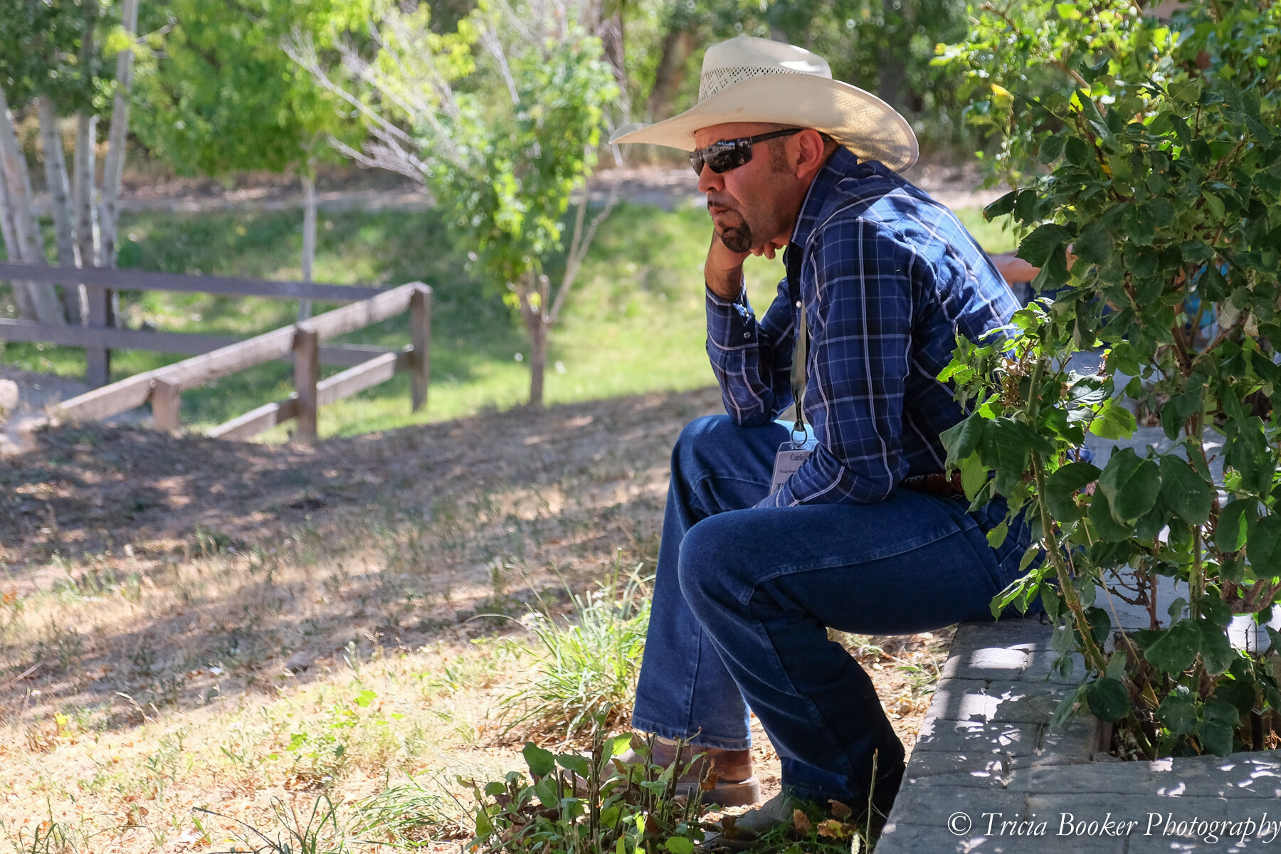 Young Horse Trainer School Non-Rider Participant