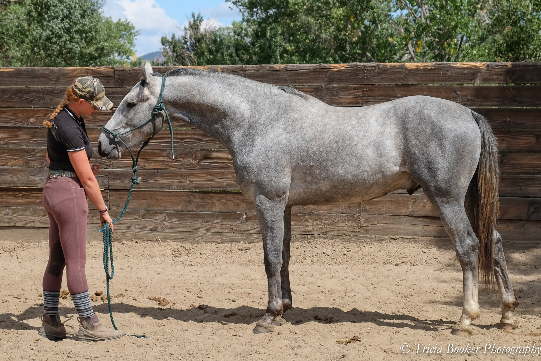 Sport Horse Conformation Seminar Balance Due