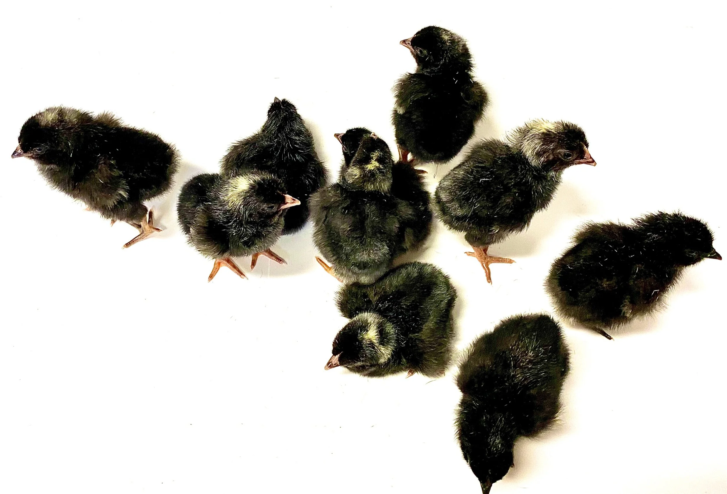 8759A4FA-6A22-4914-A89D-F3565FF8F7BE