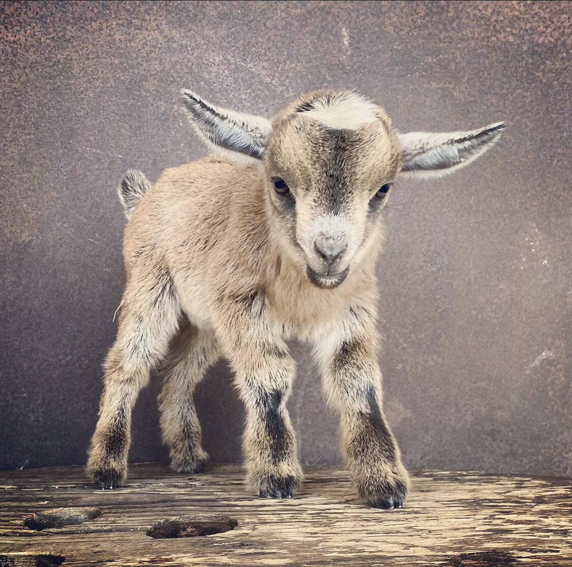 3C5B797E-B832-4A42-9ED3-77A768401855