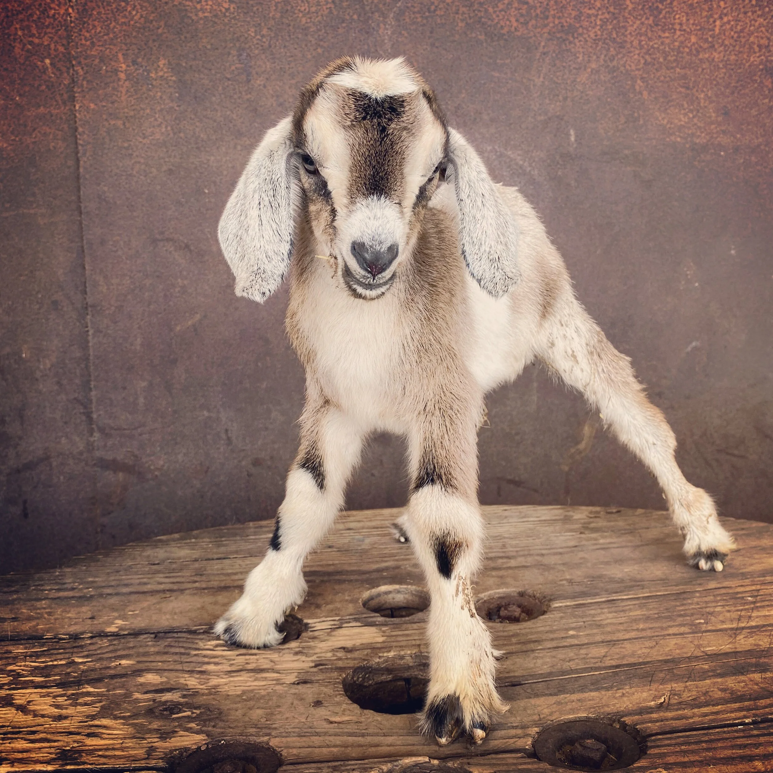 37D8BFDB-2791-4F11-9B79-A0C2AF4D4B82