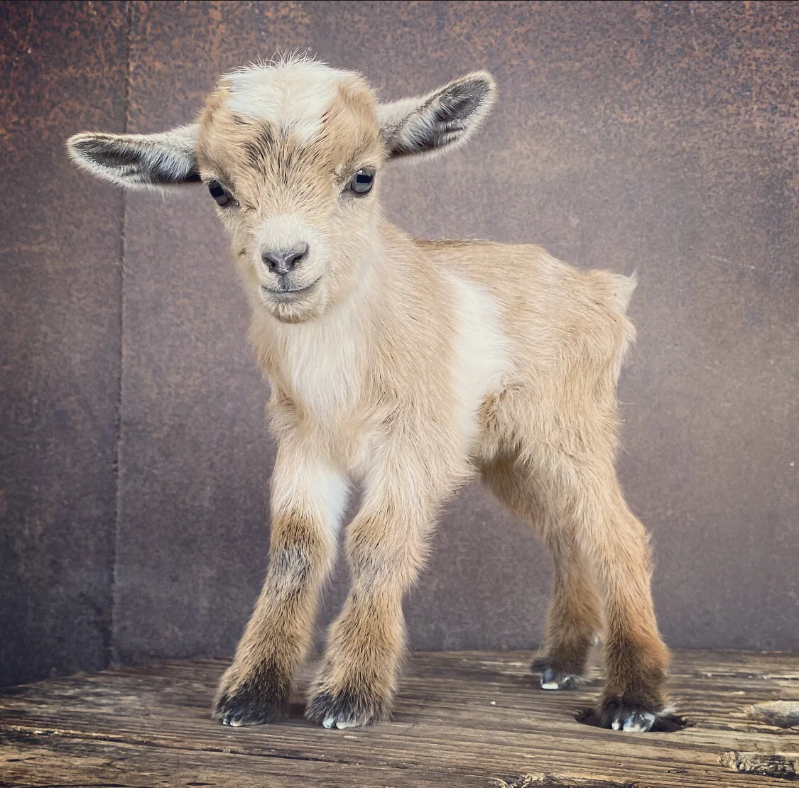 512B92E3-219F-4016-9CFF-8321B5DEB61F