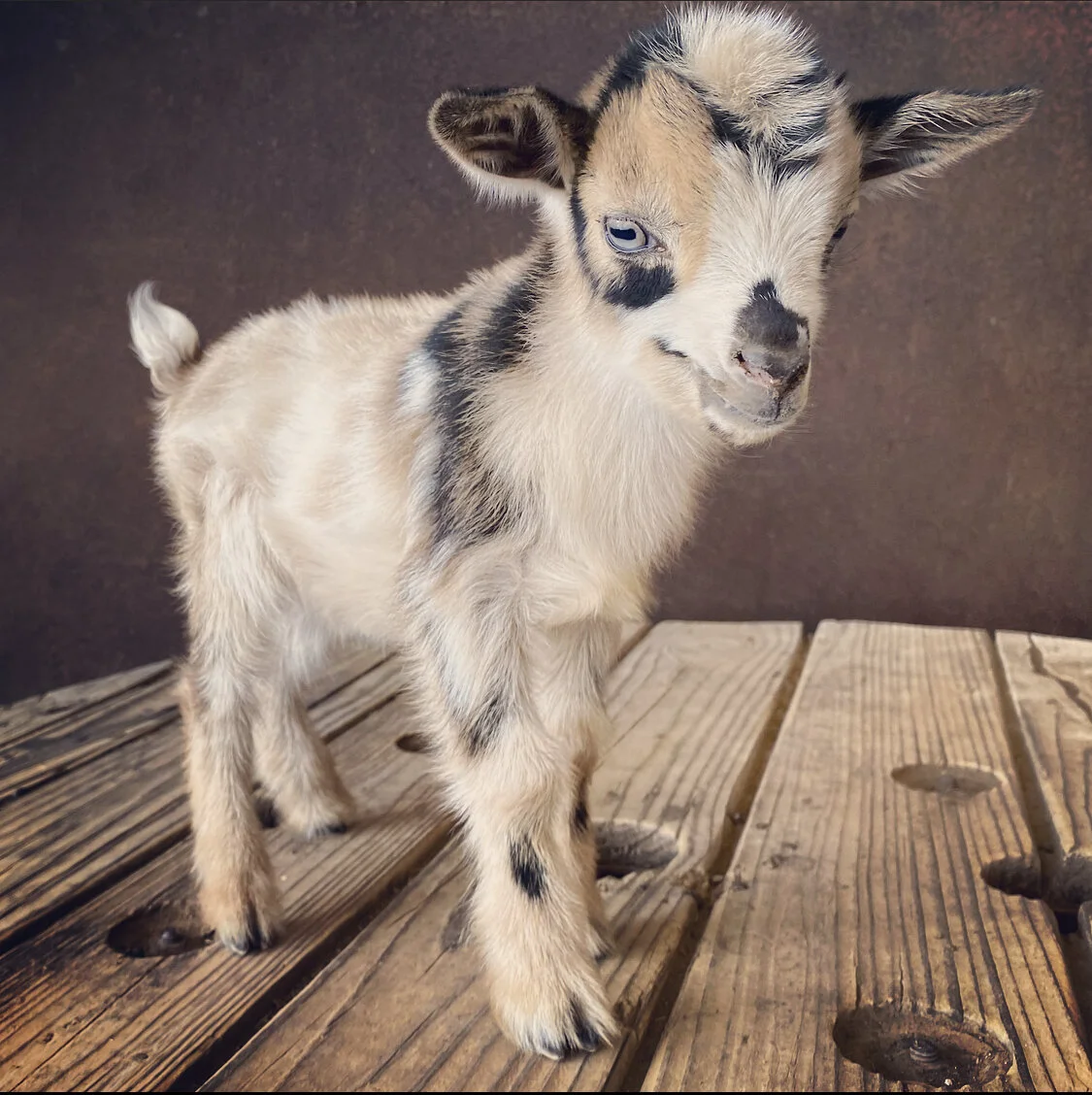 64F1D83A-91C9-4572-B513-0235A1323A3A