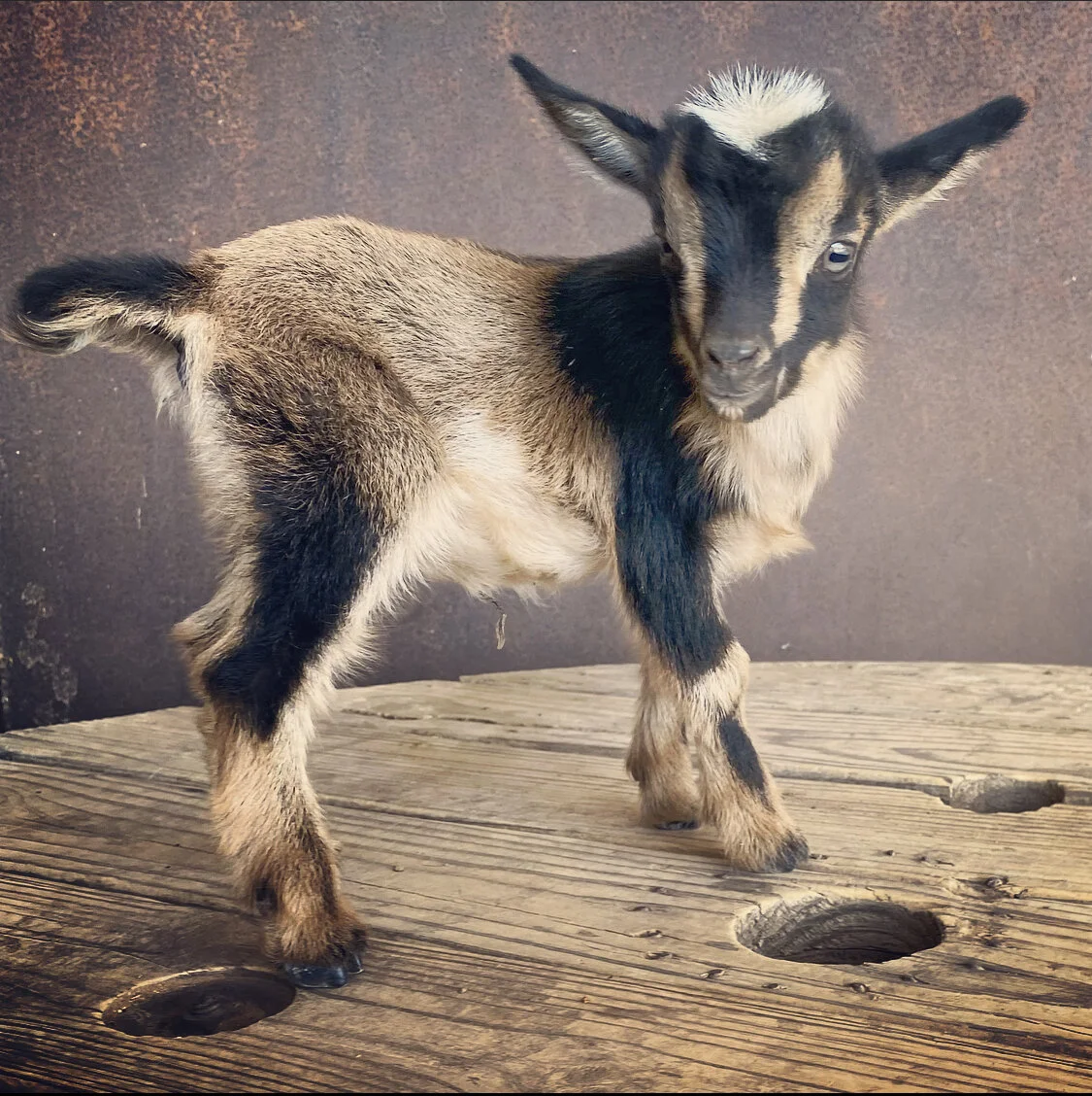 930A4792-66BB-4F6E-A8C7-18FD3D8E5F7B