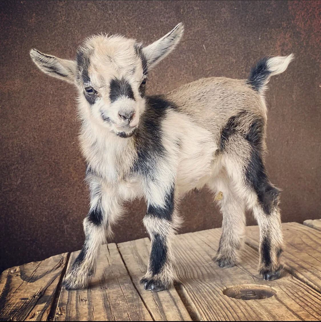 037CC5AF-6CAC-493C-906E-0BFF8826EC09