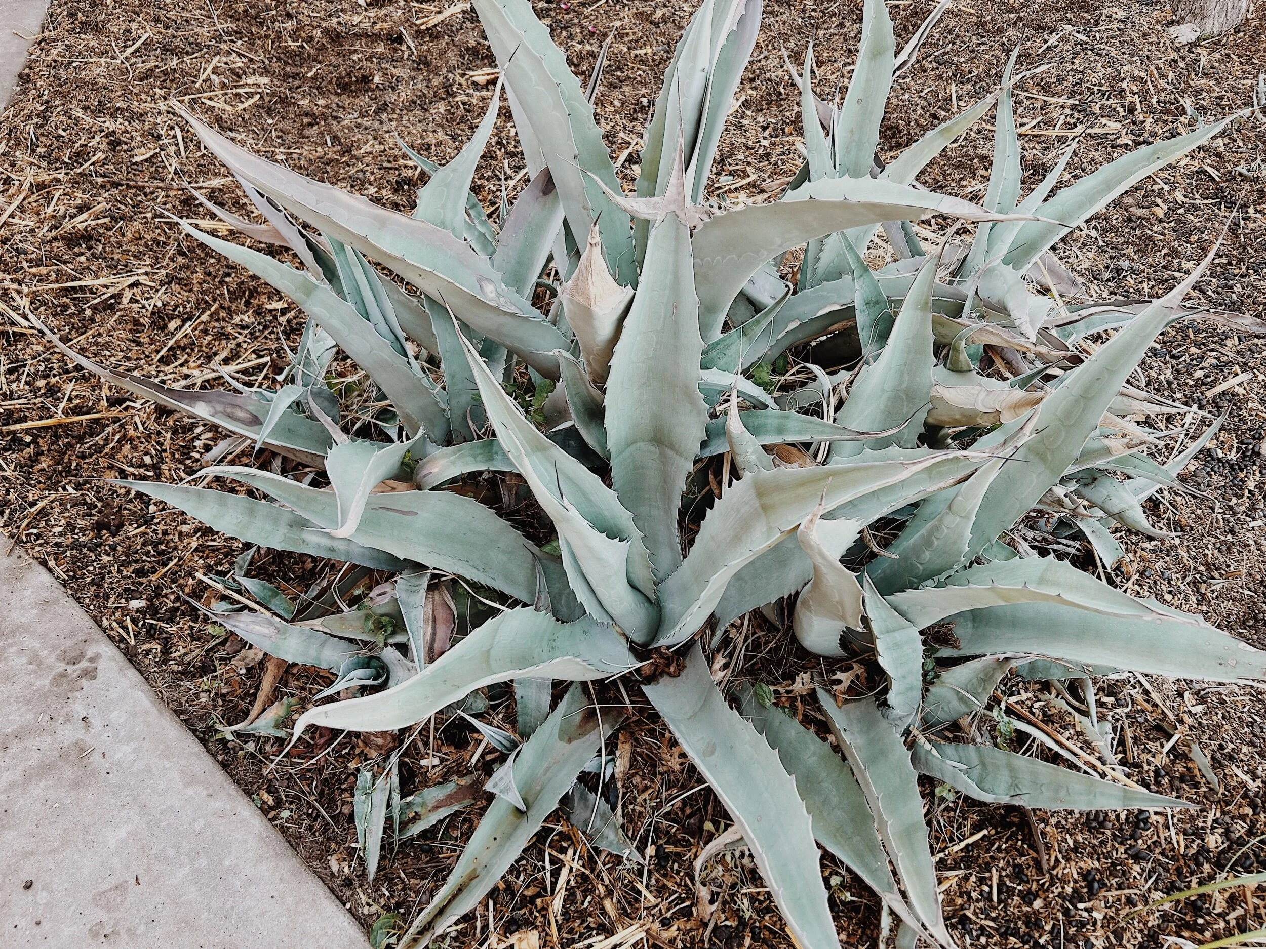 358F1BCE-B596-4A29-83FA-28B5D4BD8787