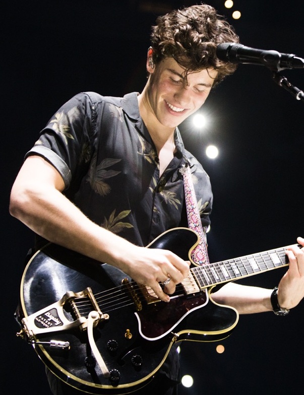 Shawn_Mendes_Live_in_Concert_(cropped).jpg