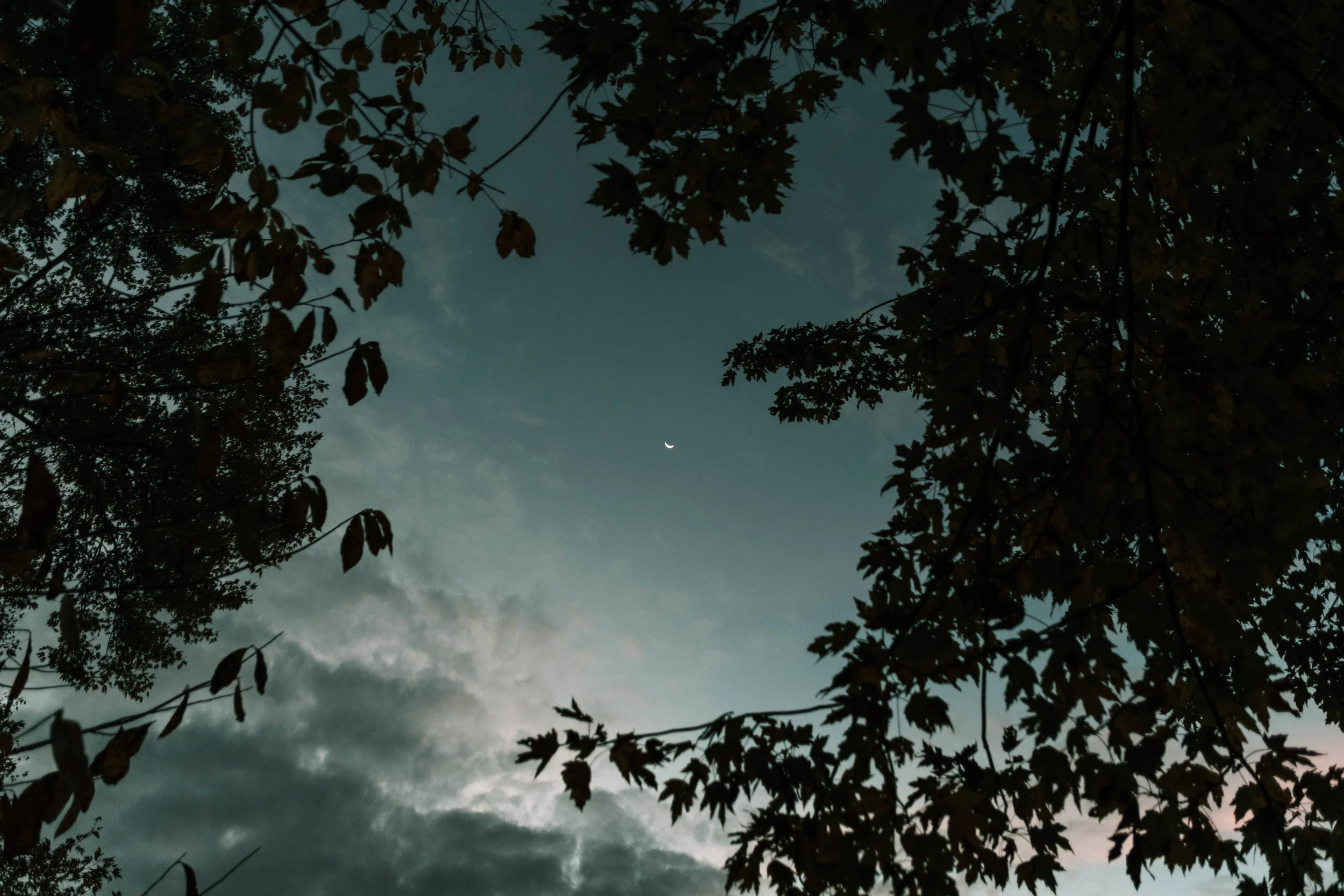 RJC_03-NOV-2018_ (2).jpg