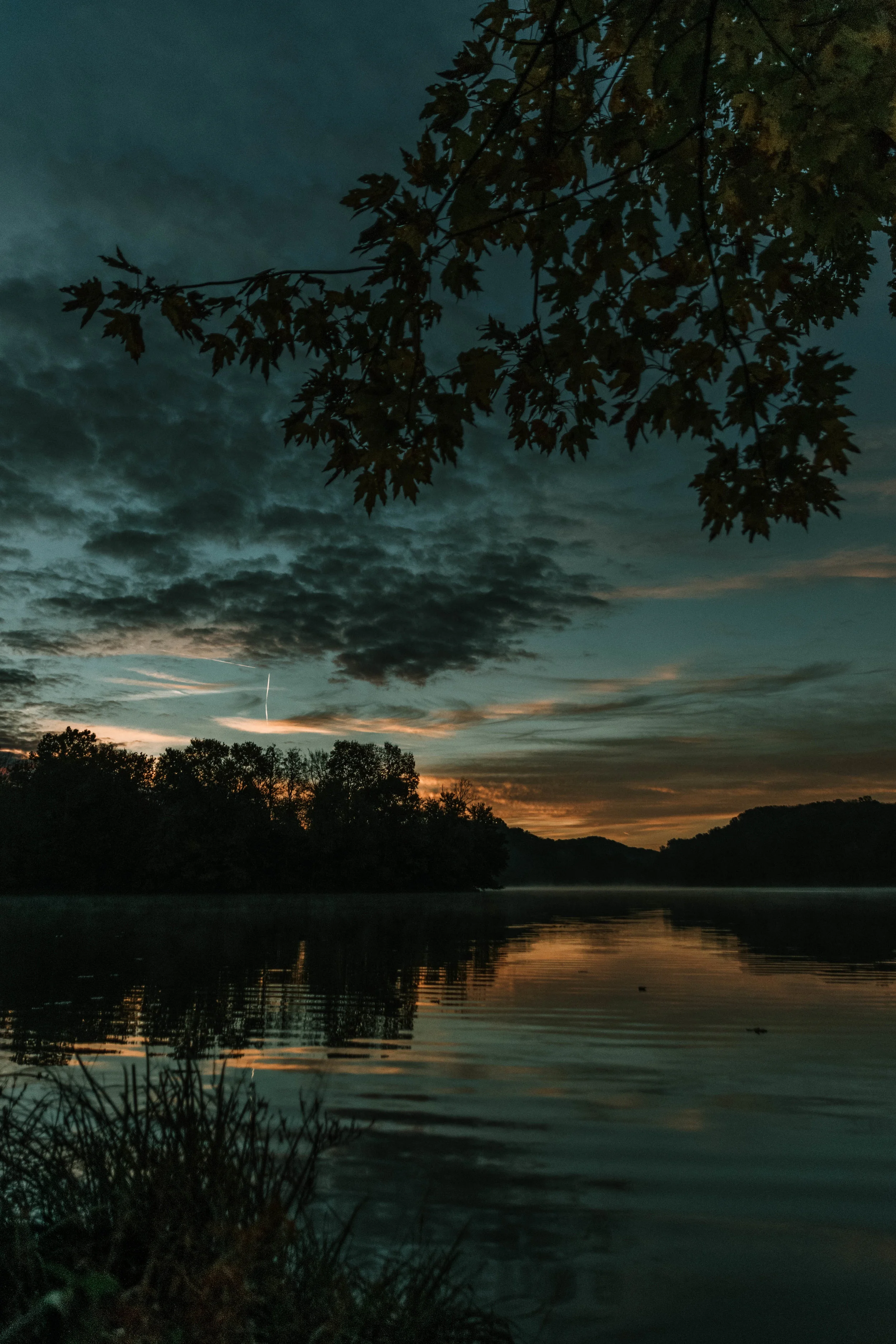 RJC_03-NOV-2018_ (5).jpg