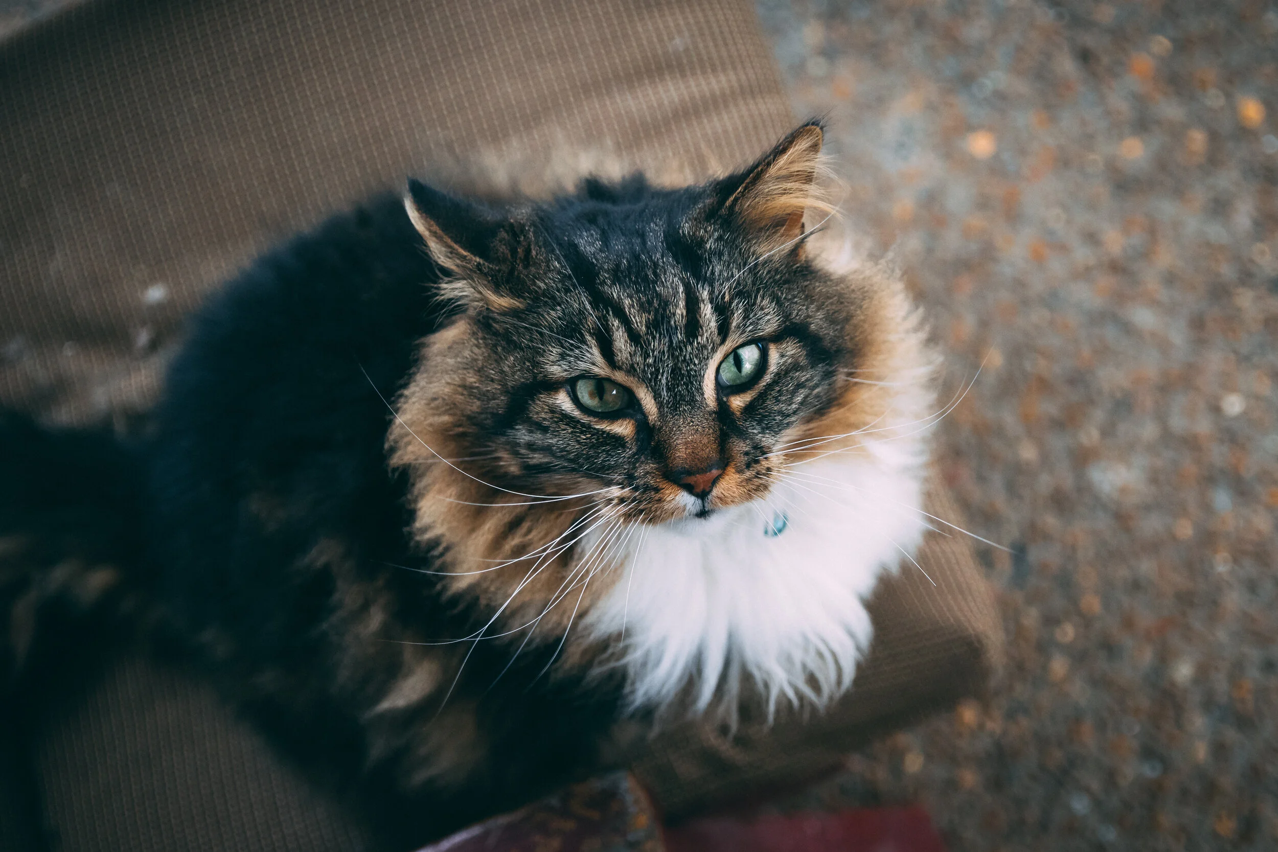 DSC_0269.jpg