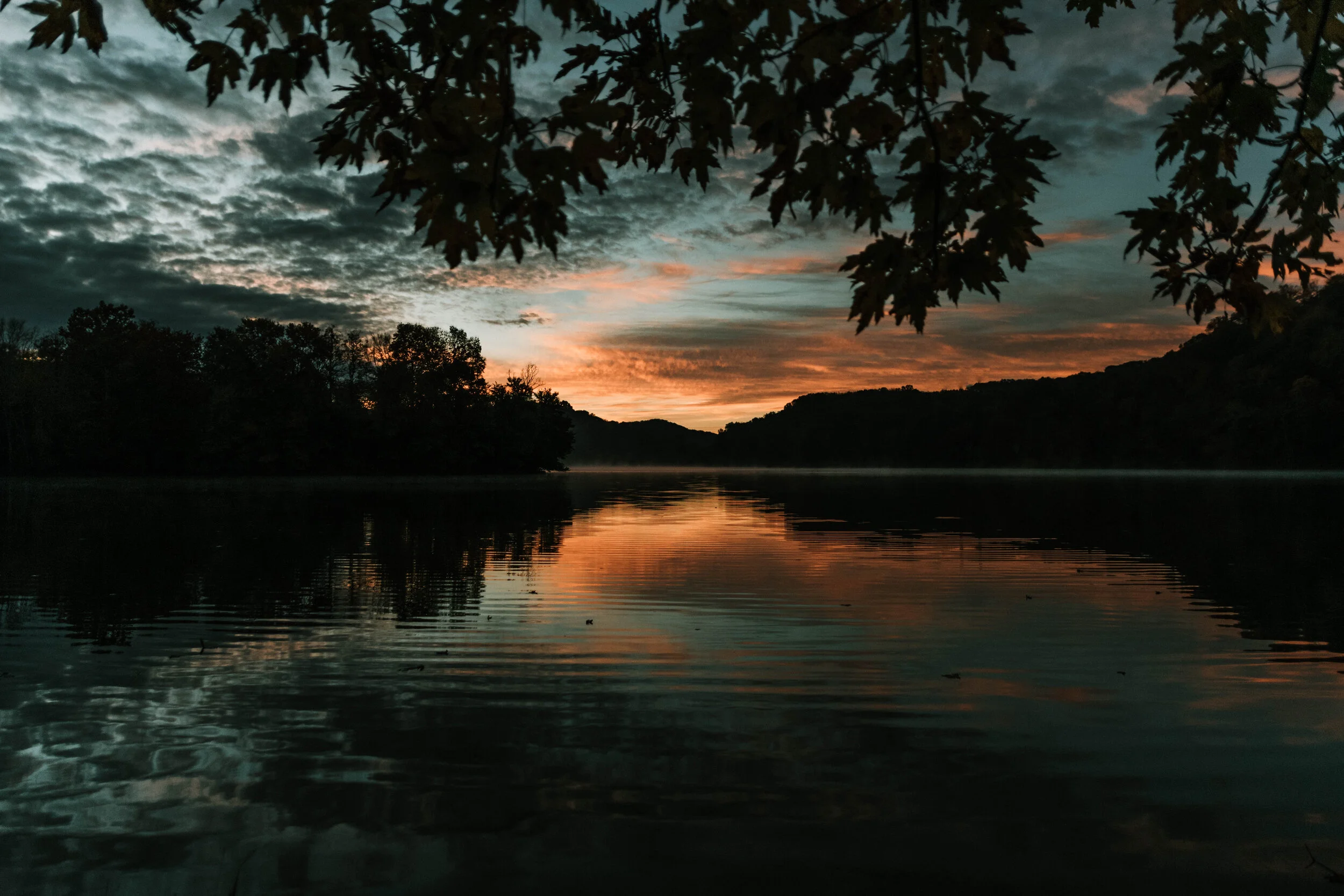 RJC_03-NOV-2018_ (3).jpg