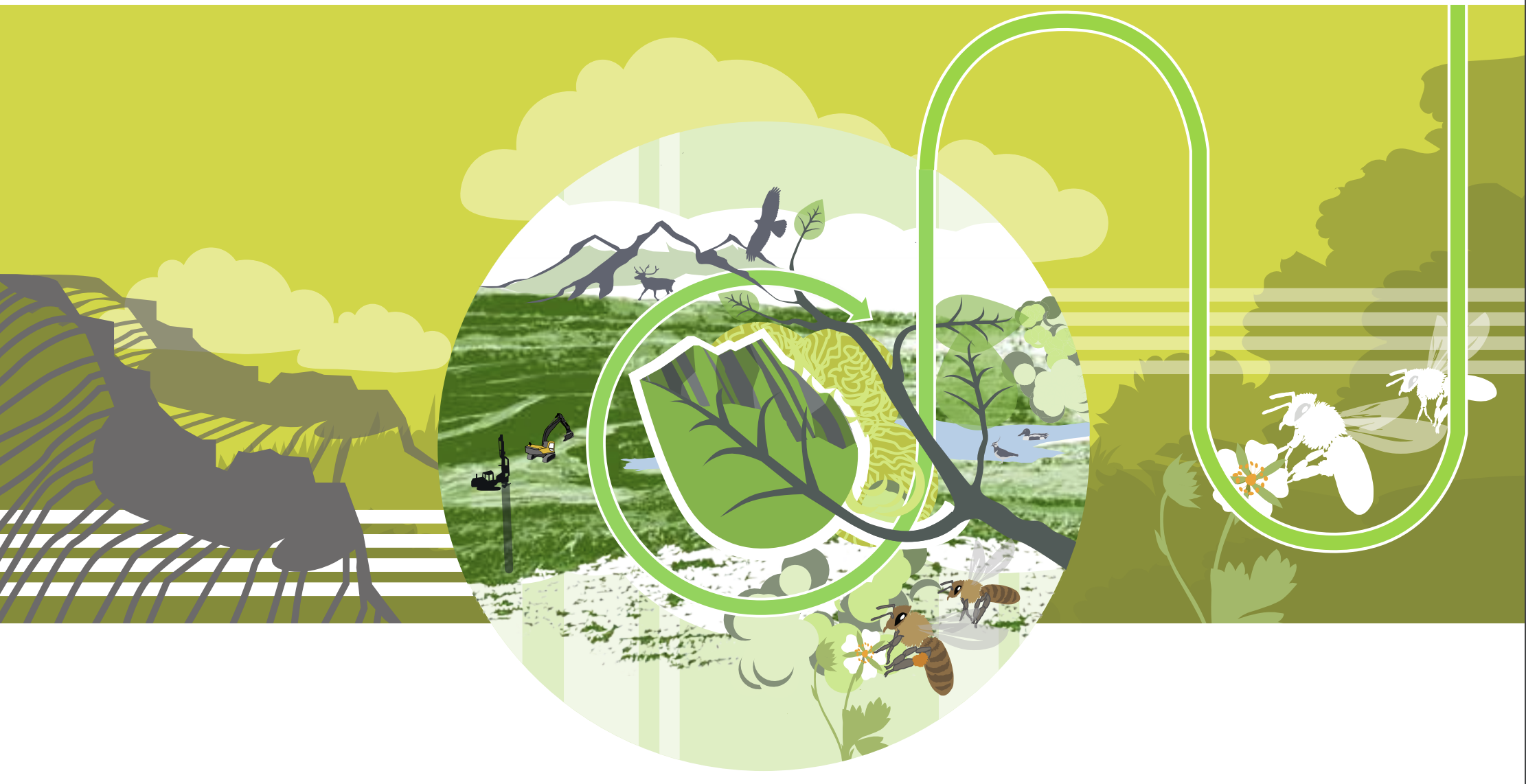 Mining with nature - Sveriges första branschfärdplan för biologisk mångfald