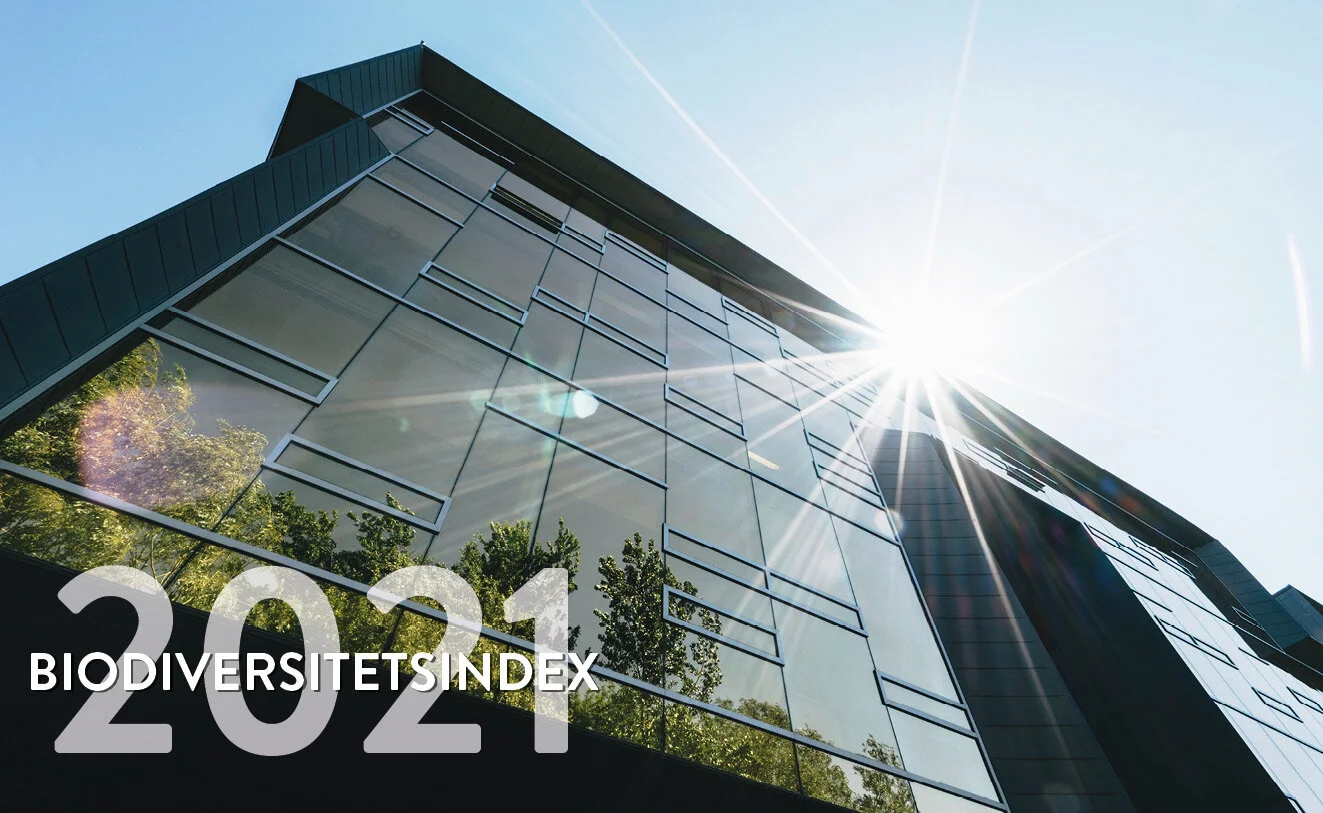 Ecogains Biodiversitetsindex 2021 – Svenskt näringsliv har börjat prata om biologisk mångfald 