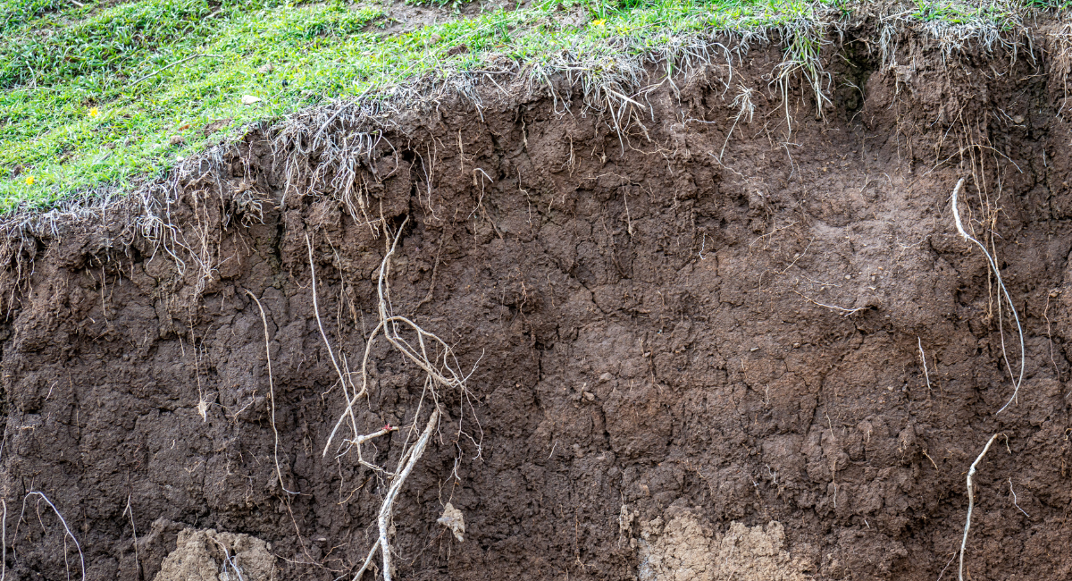 Soil storage