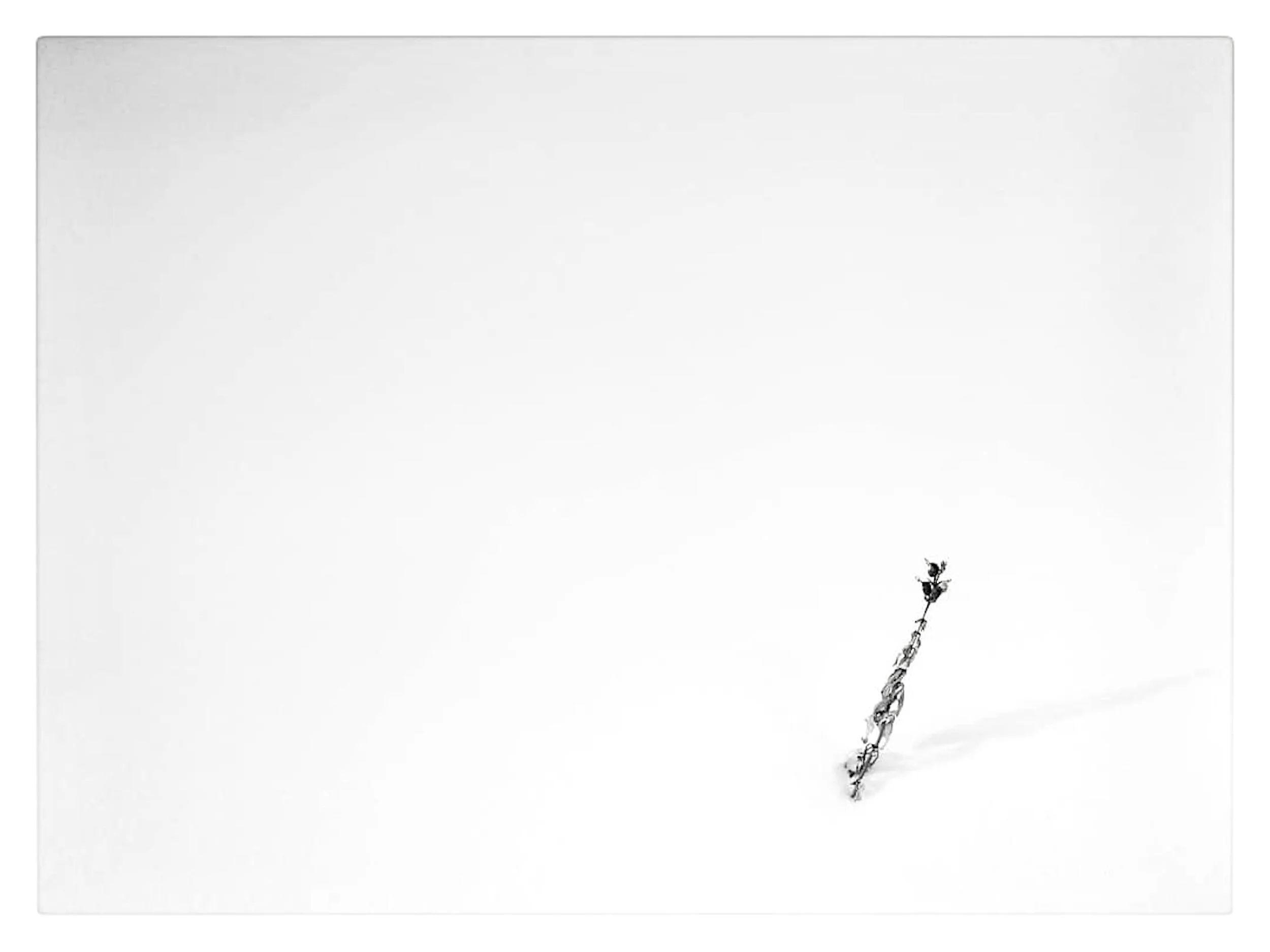 RESISILANT