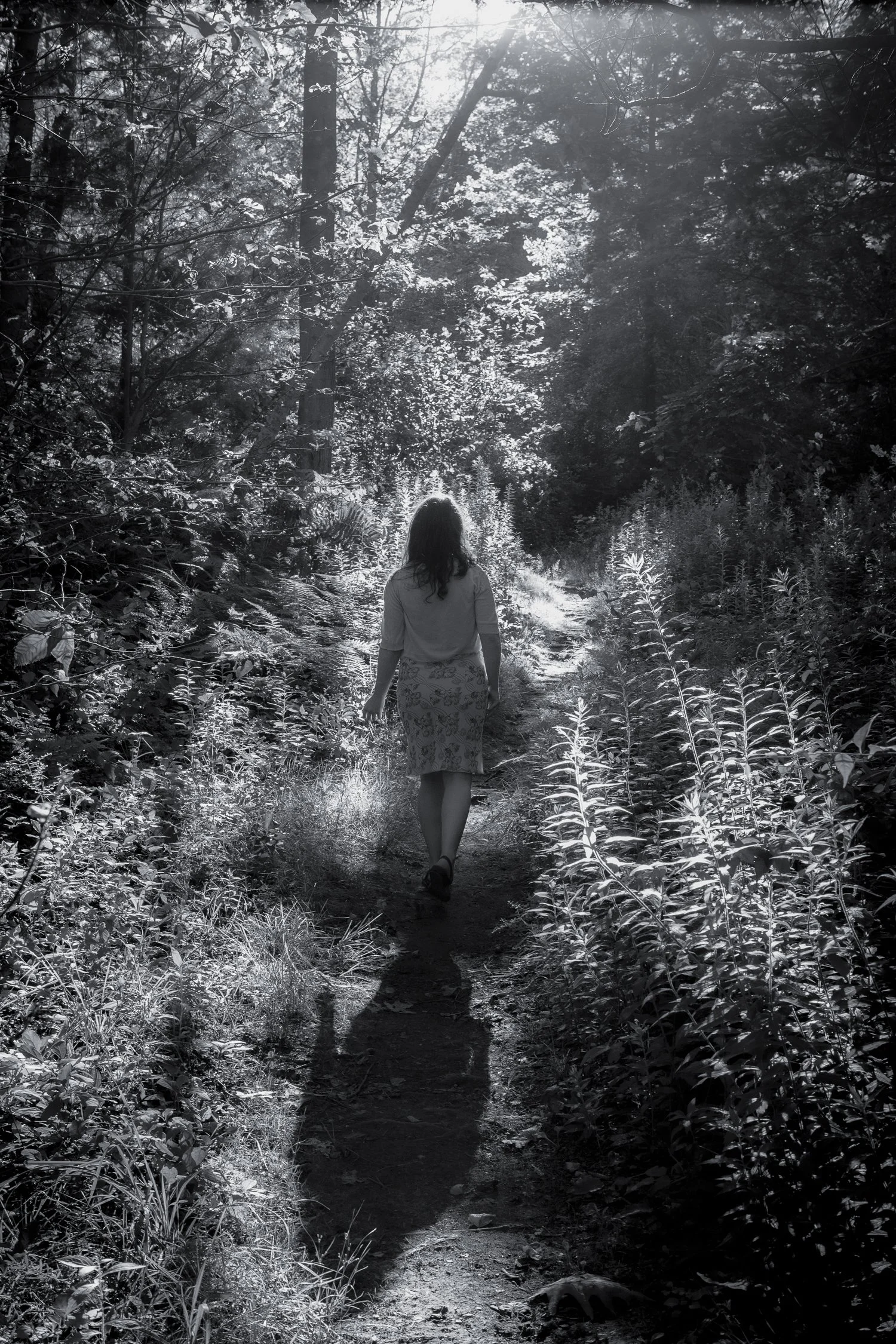 Anna Path Into Woods.jpg