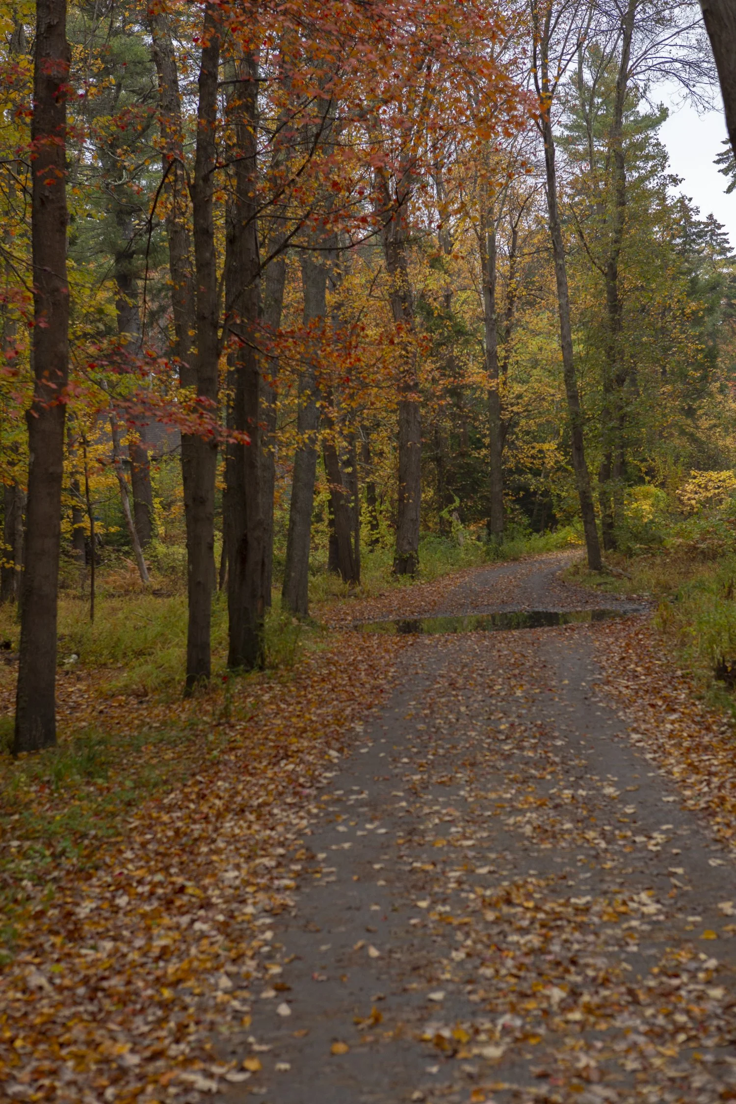 Peaks Road 2.jpg