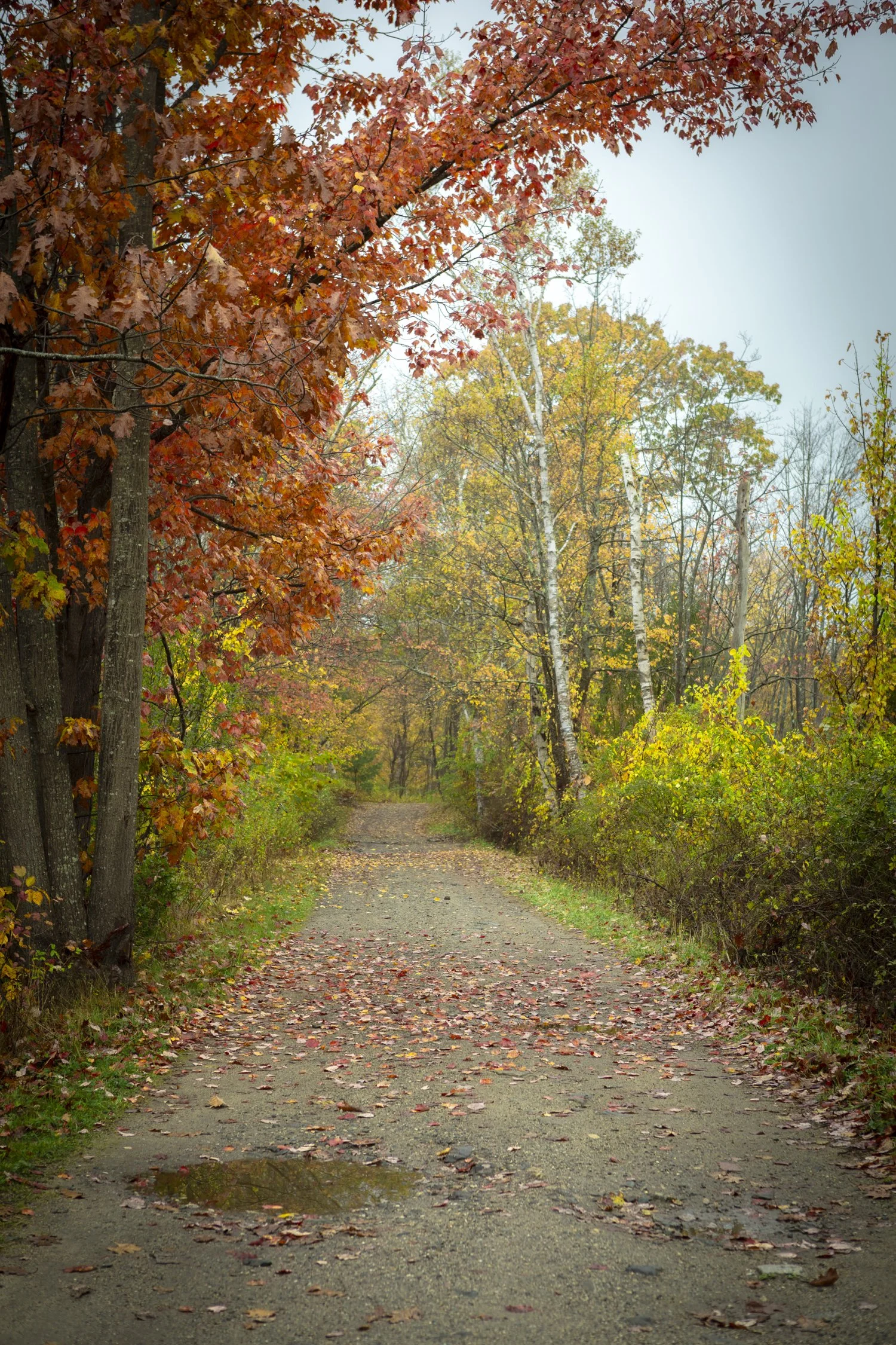 Peaks Road 1.jpg