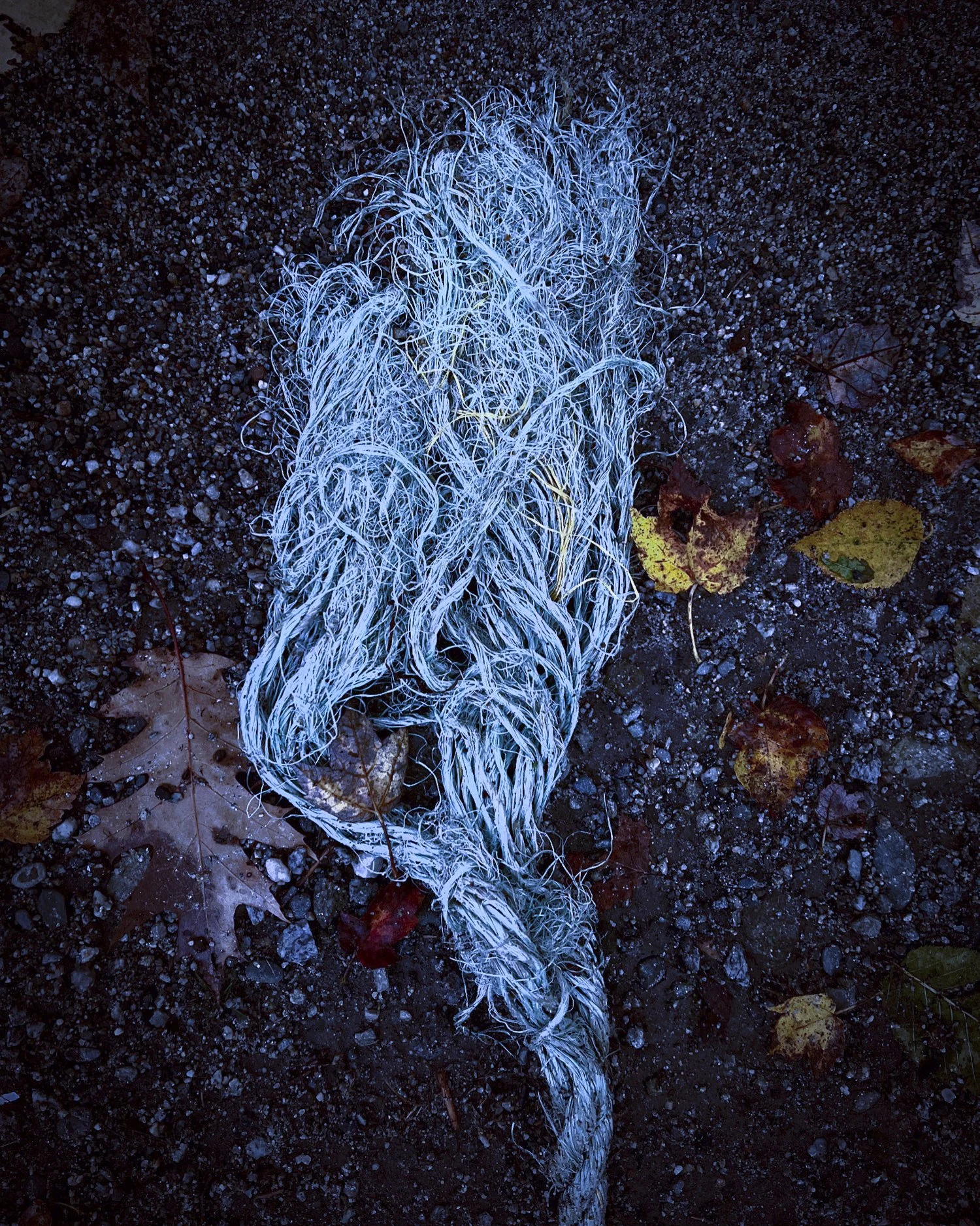 Blue rope.jpg