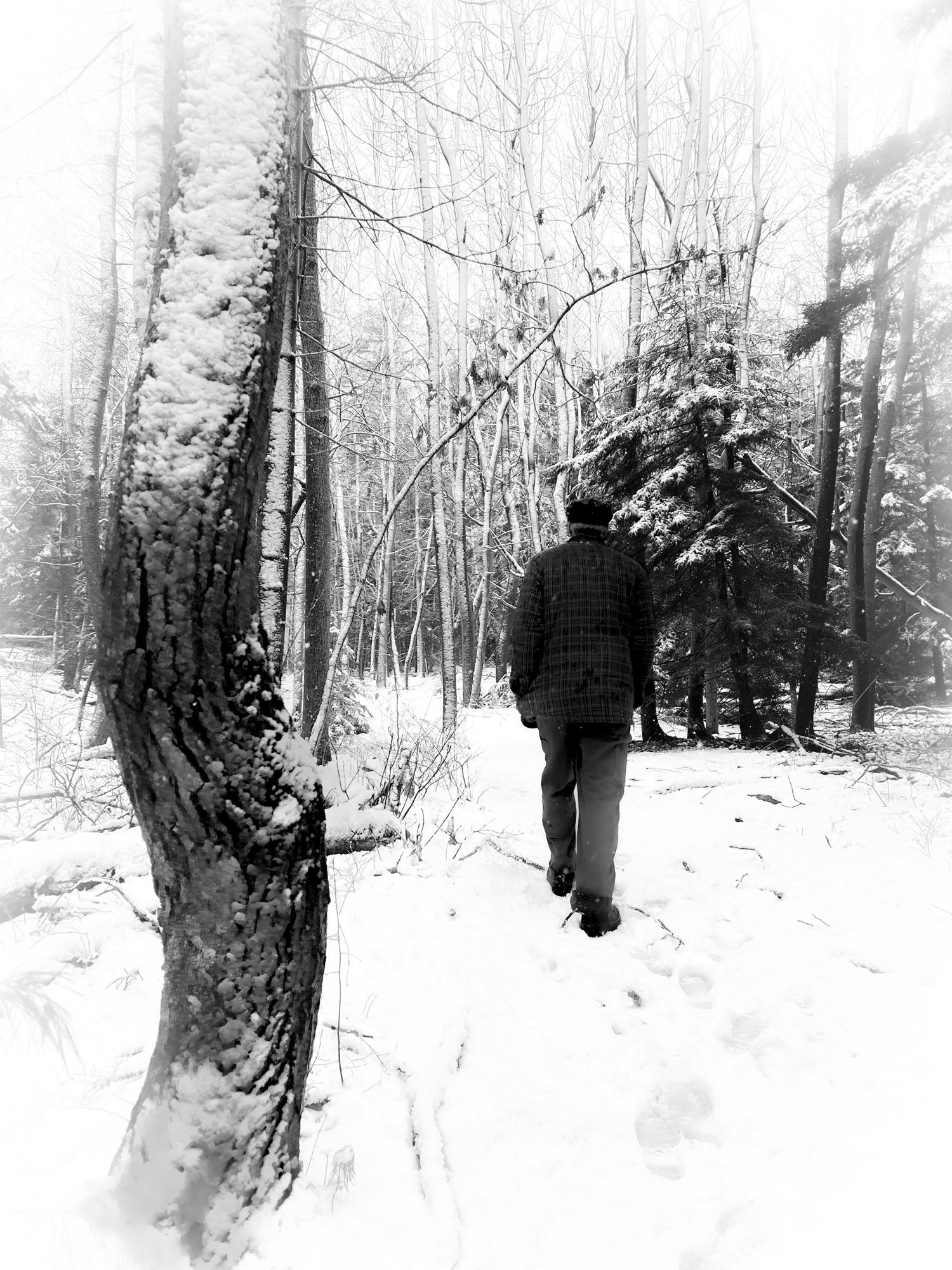 Harvey winter walking.jpg