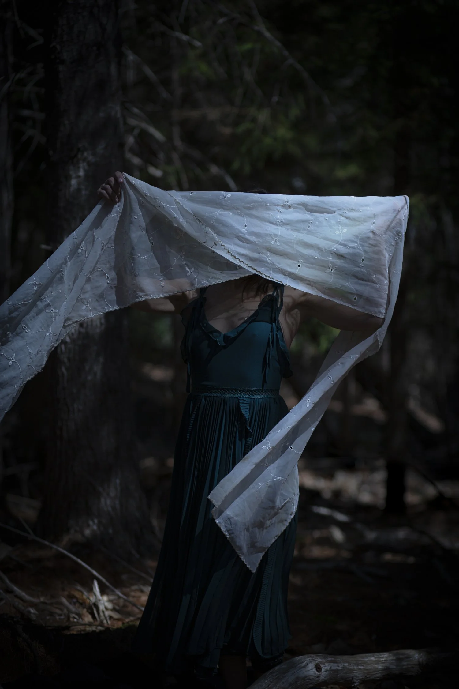 Judy veiled woods.jpg