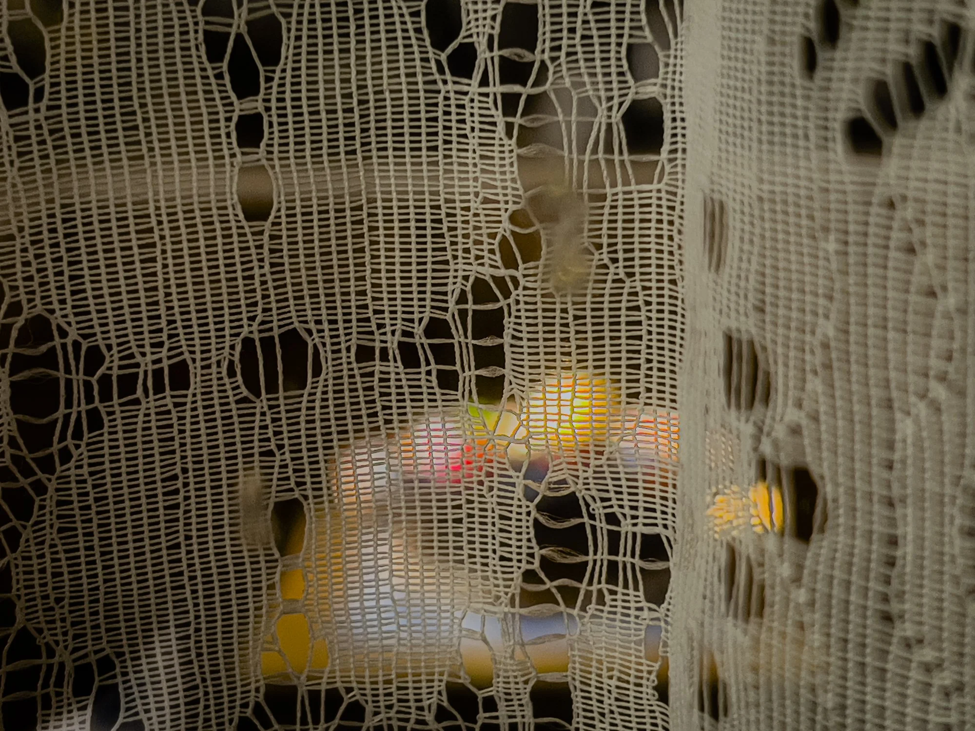 Lace Door 1.jpg