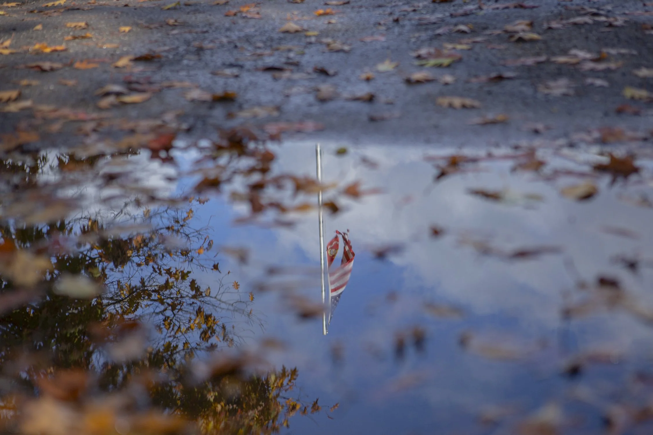flag puddle 1.jpg